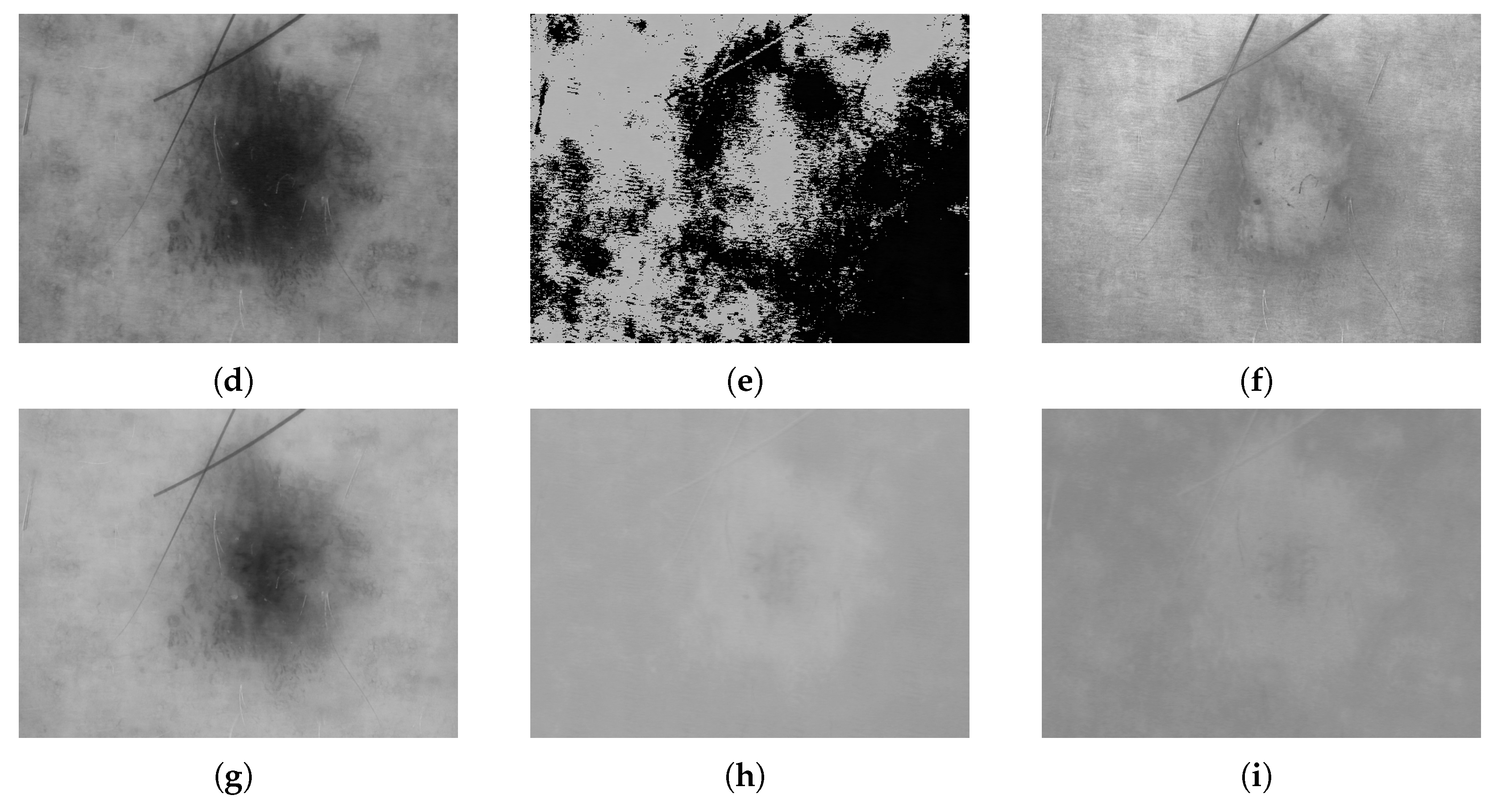 Applsci 15 07856 g005b