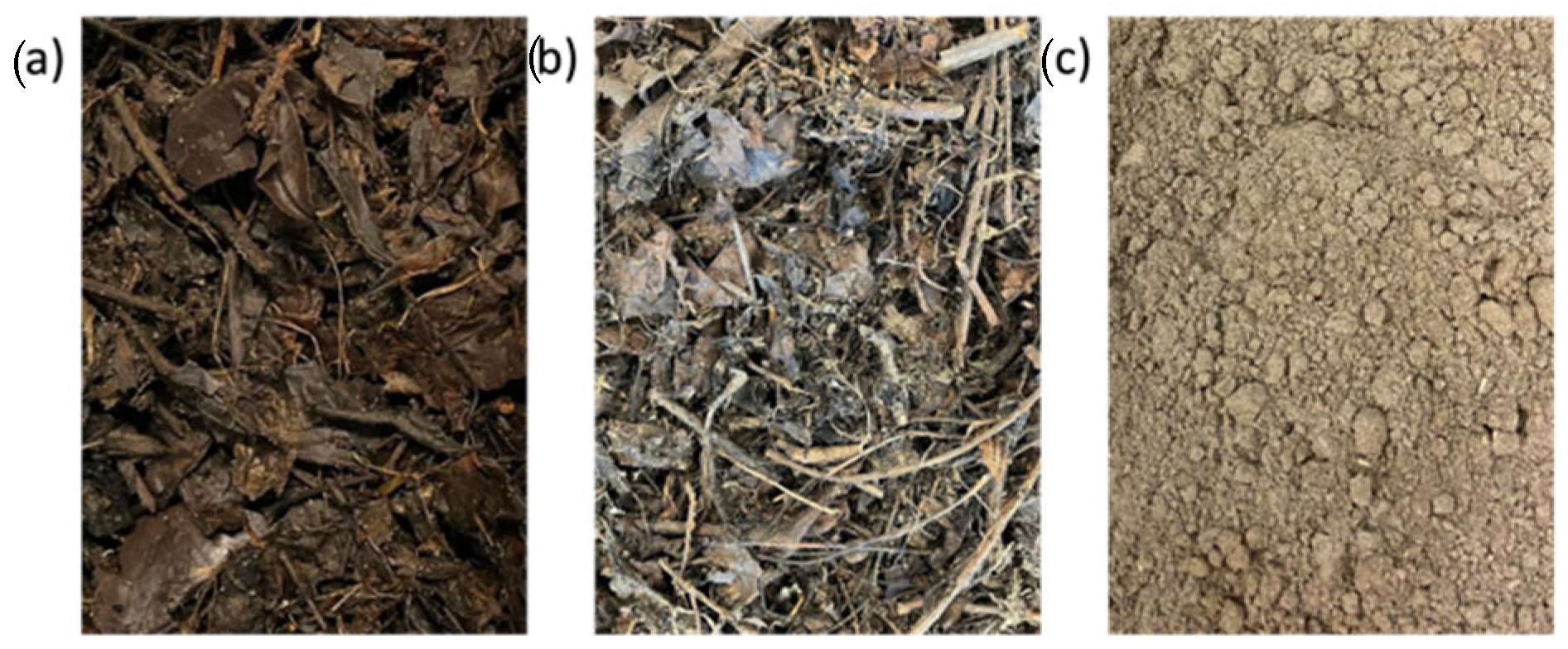 Applsci 15 07858 g003