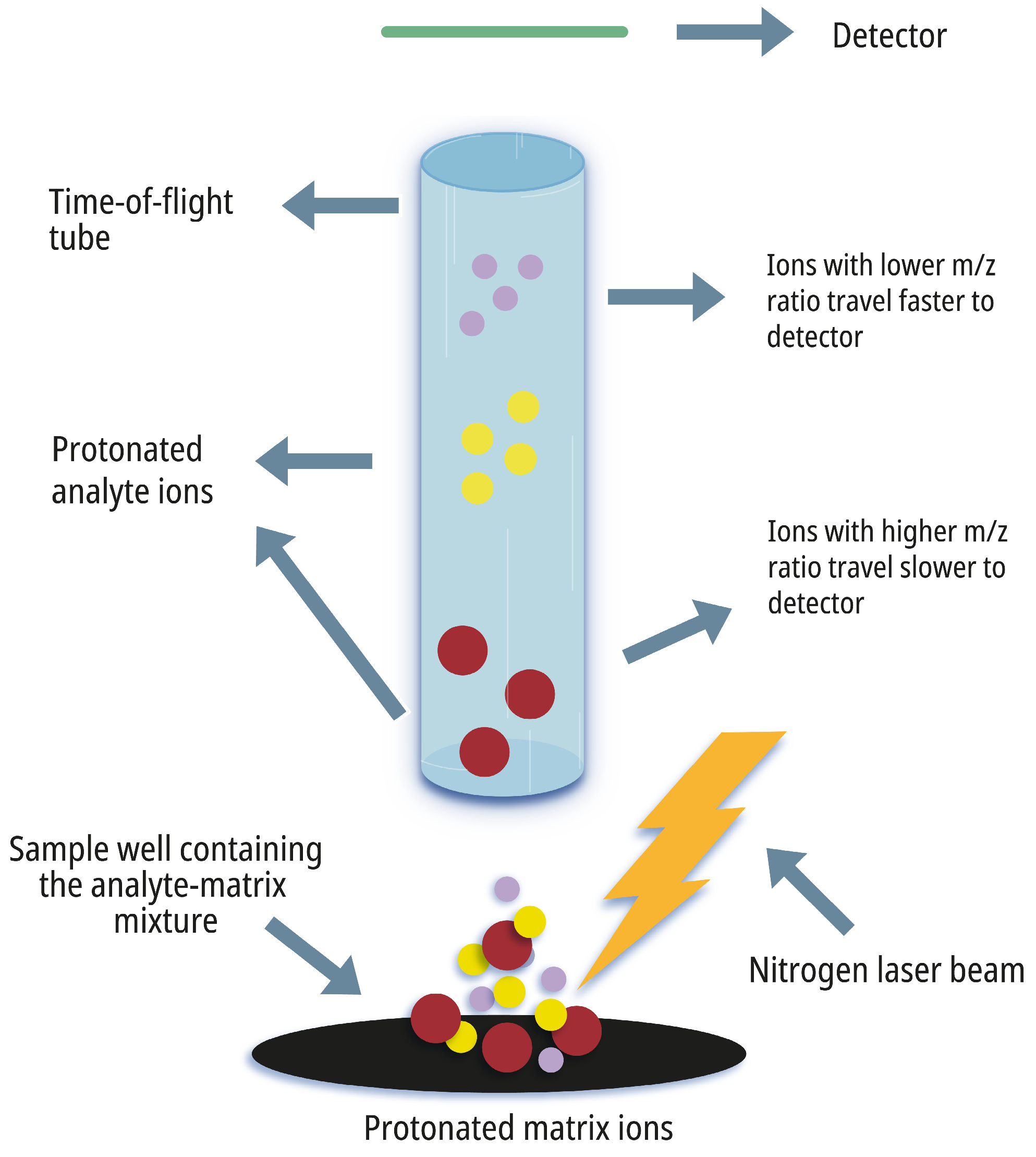 Applsci 15 07863 g001