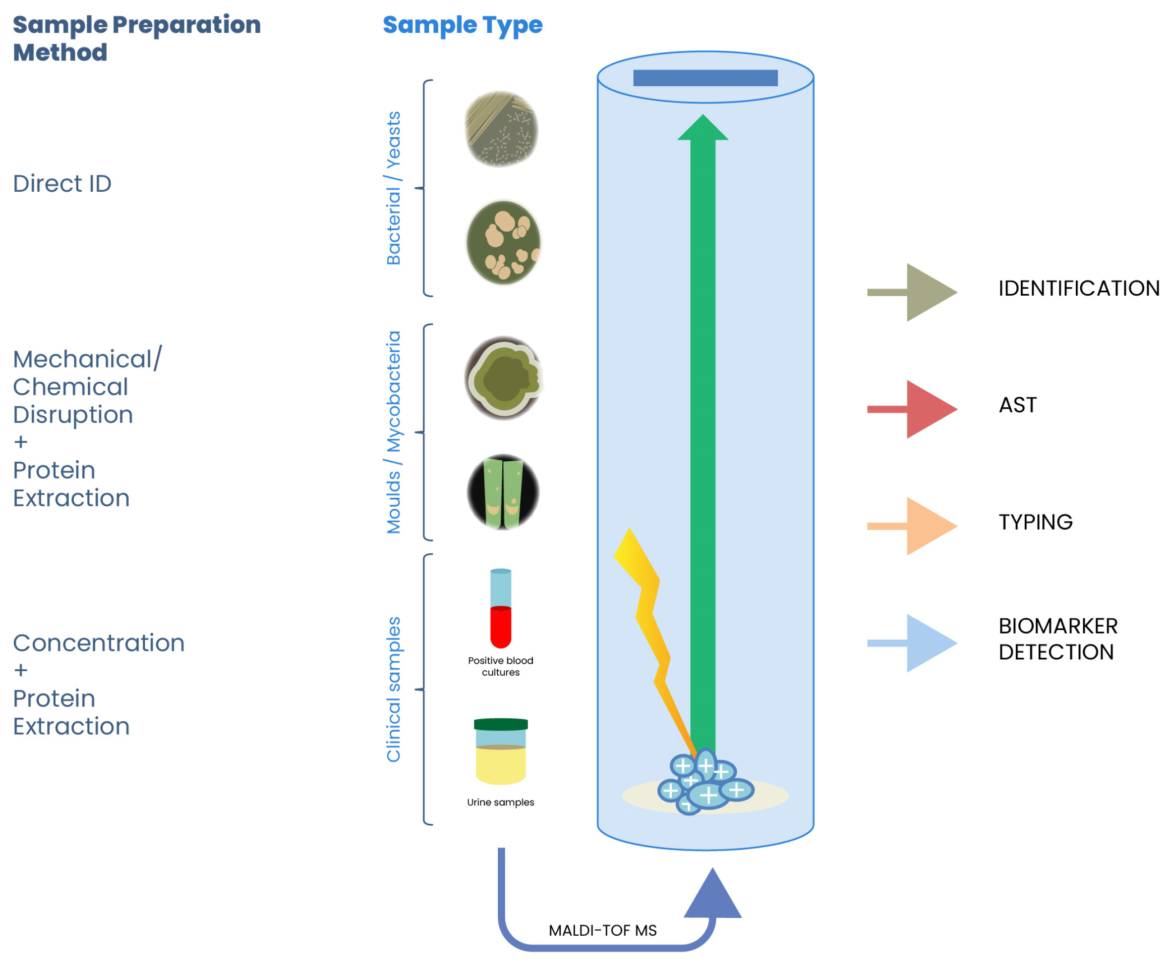 Applsci 15 07863 g002