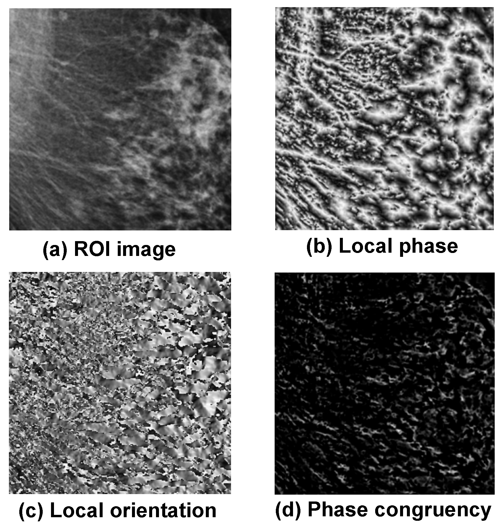 Applsci 15 07879 g003