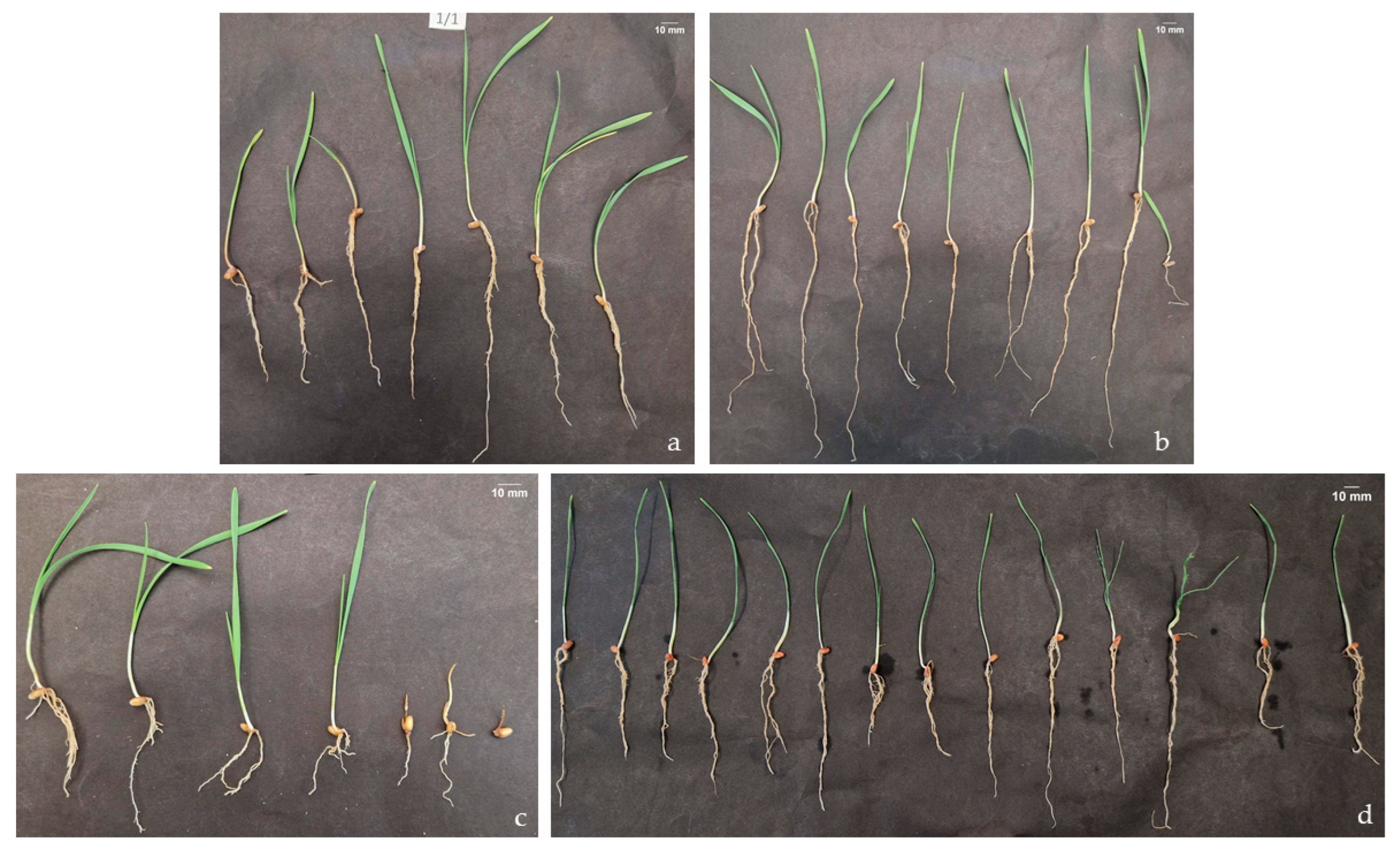 Applsci 15 07889 g002