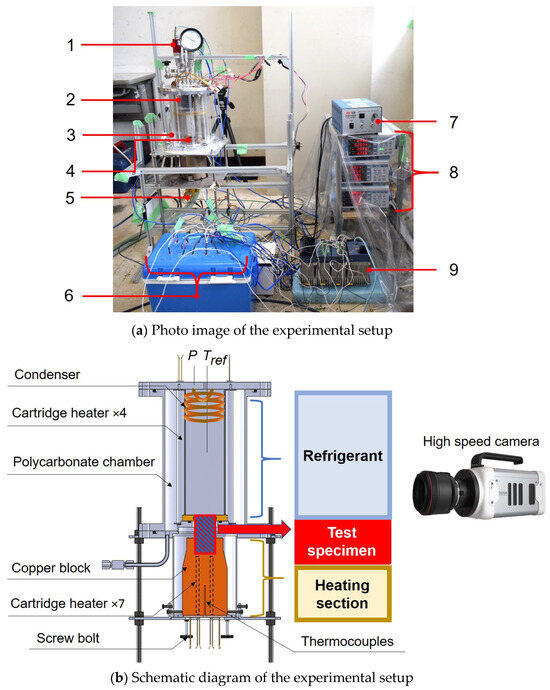 Enhanced Pool Boiling via Binder-Jetting 3D-Printed Porous Copper