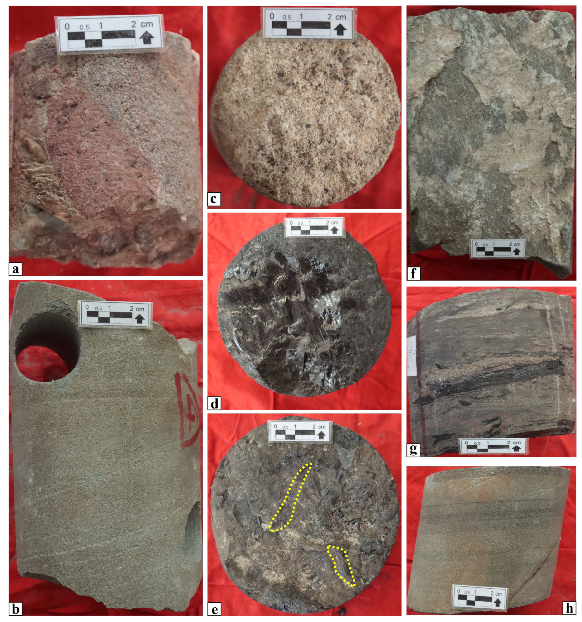 Applsci 15 07895 g006