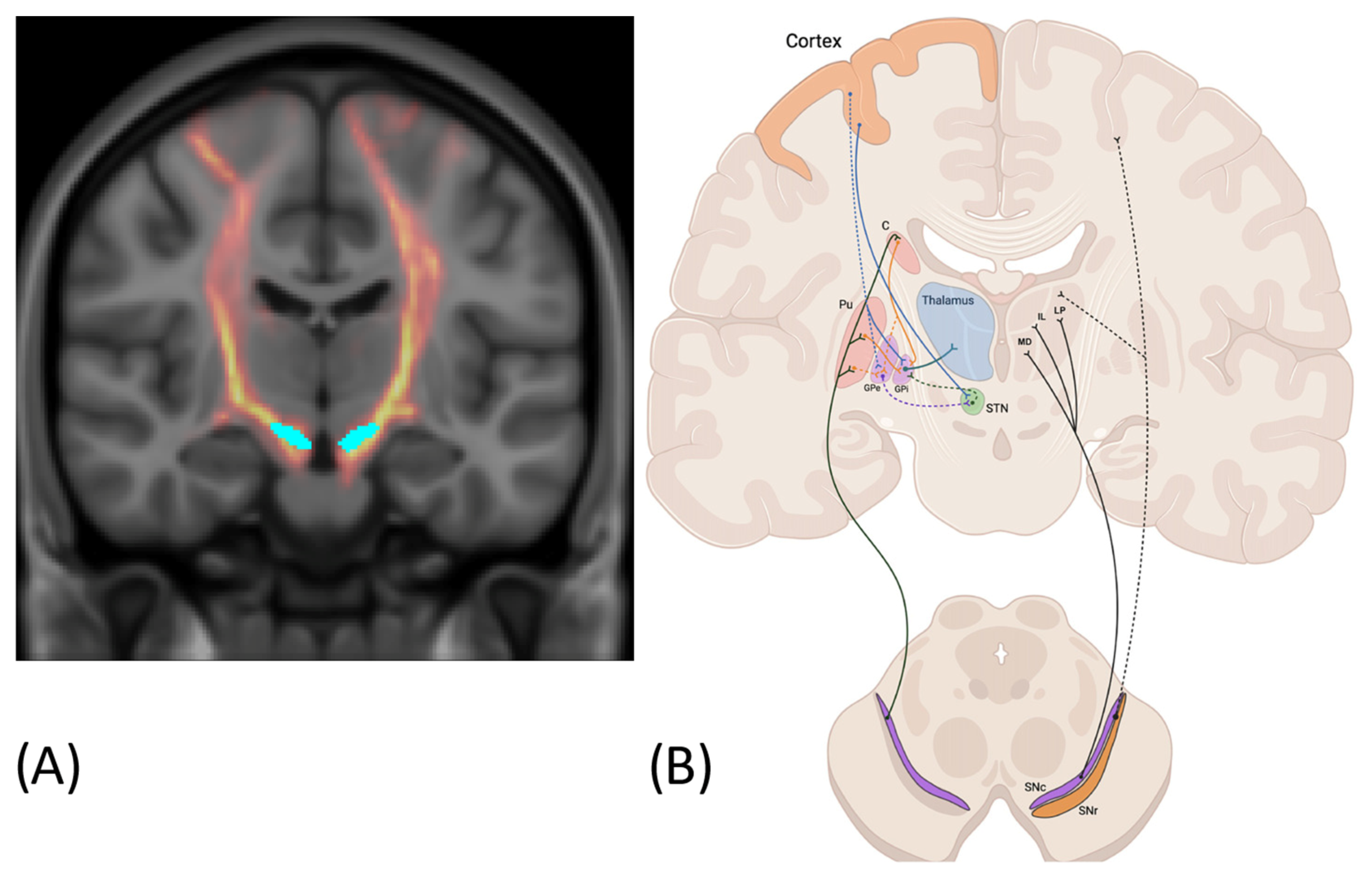 Applsci 15 07902 g001