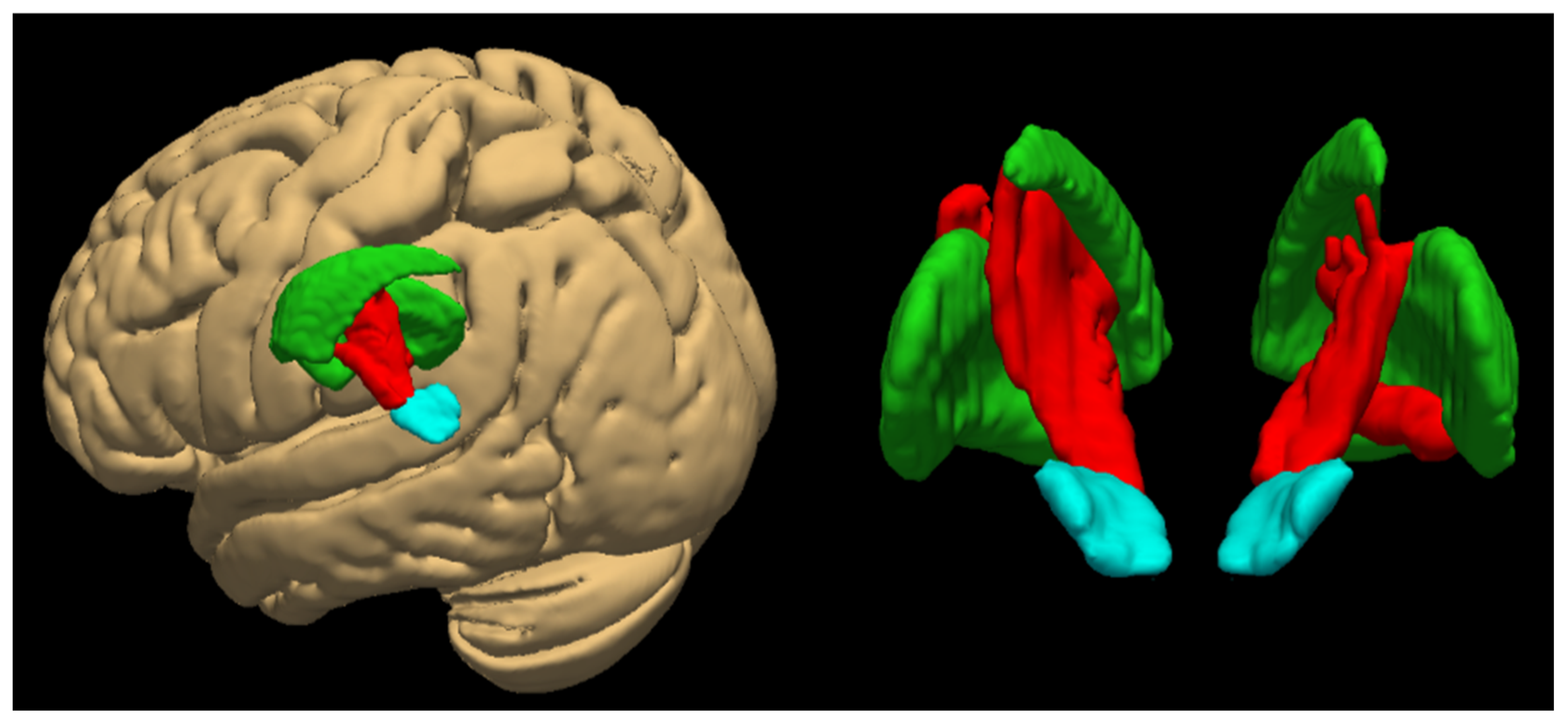 Applsci 15 07902 g002