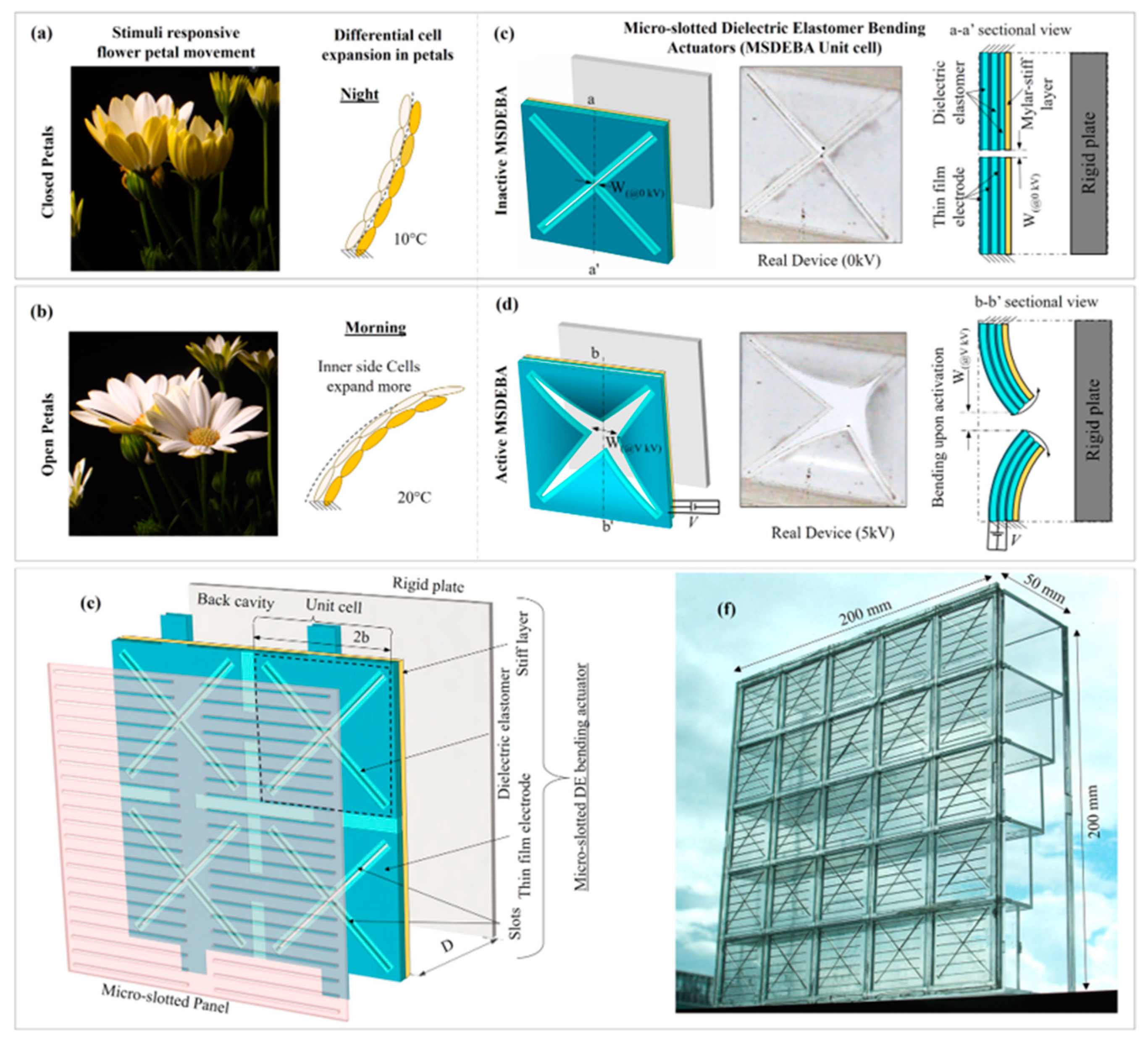 Applsci 15 07910 g011