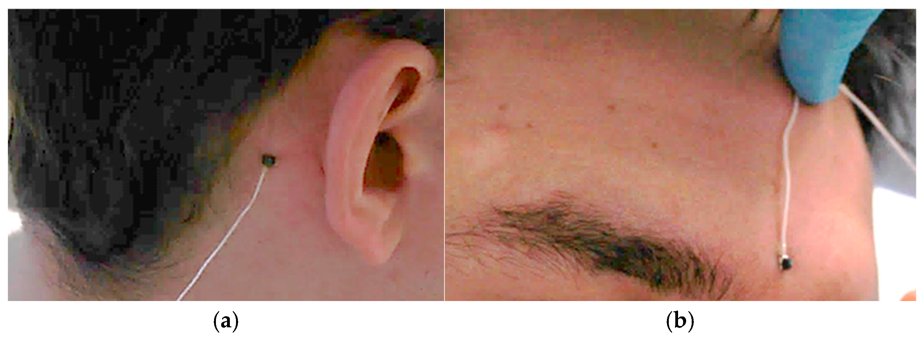 Applsci 15 07913 g004