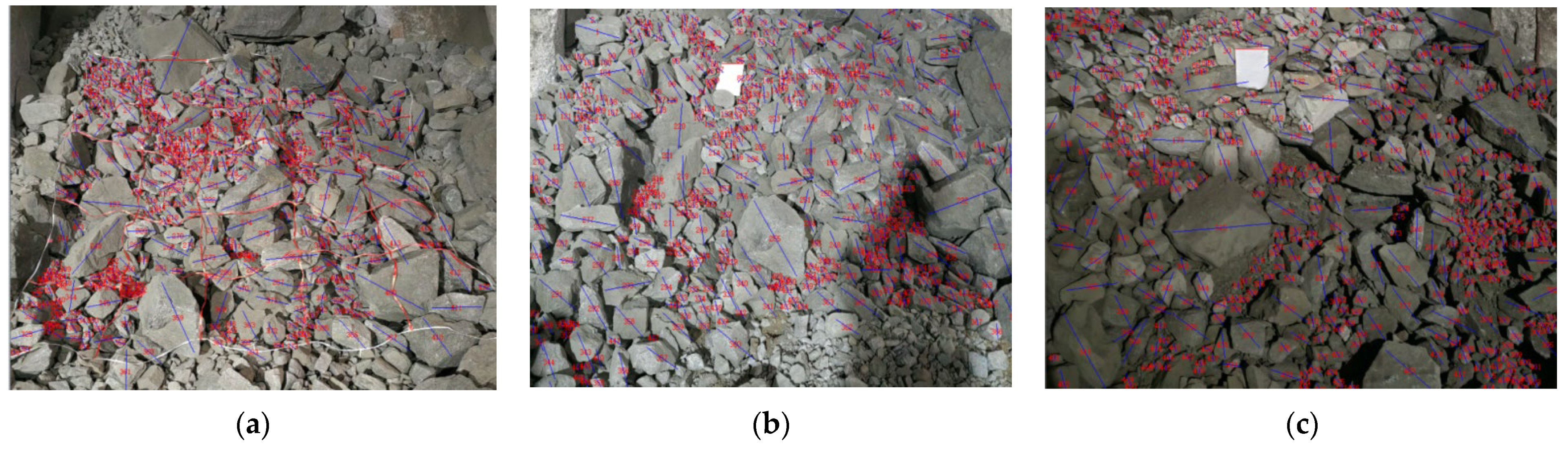 Applsci 15 07916 g001