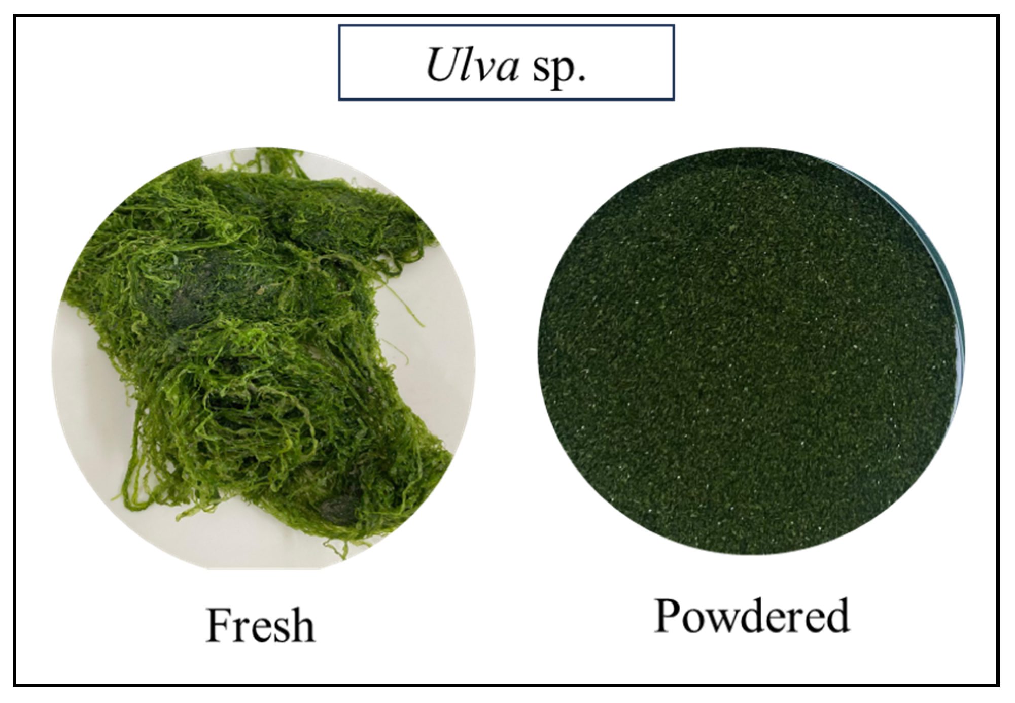 Applsci 15 07927 g002