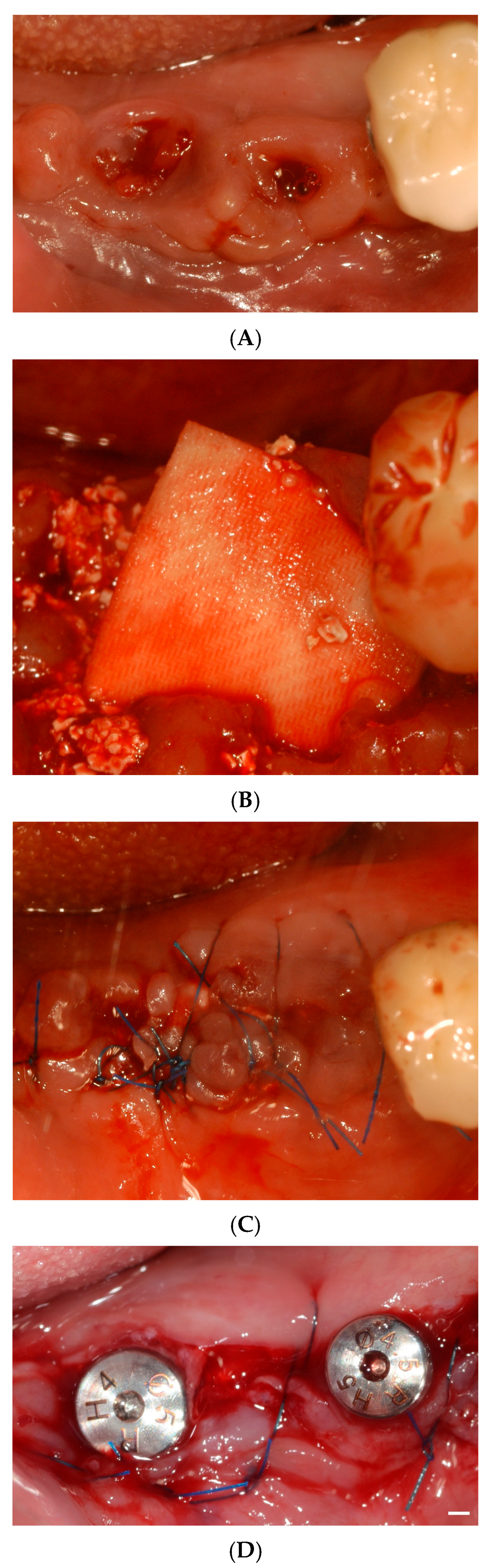 Applsci 15 07934 g001a