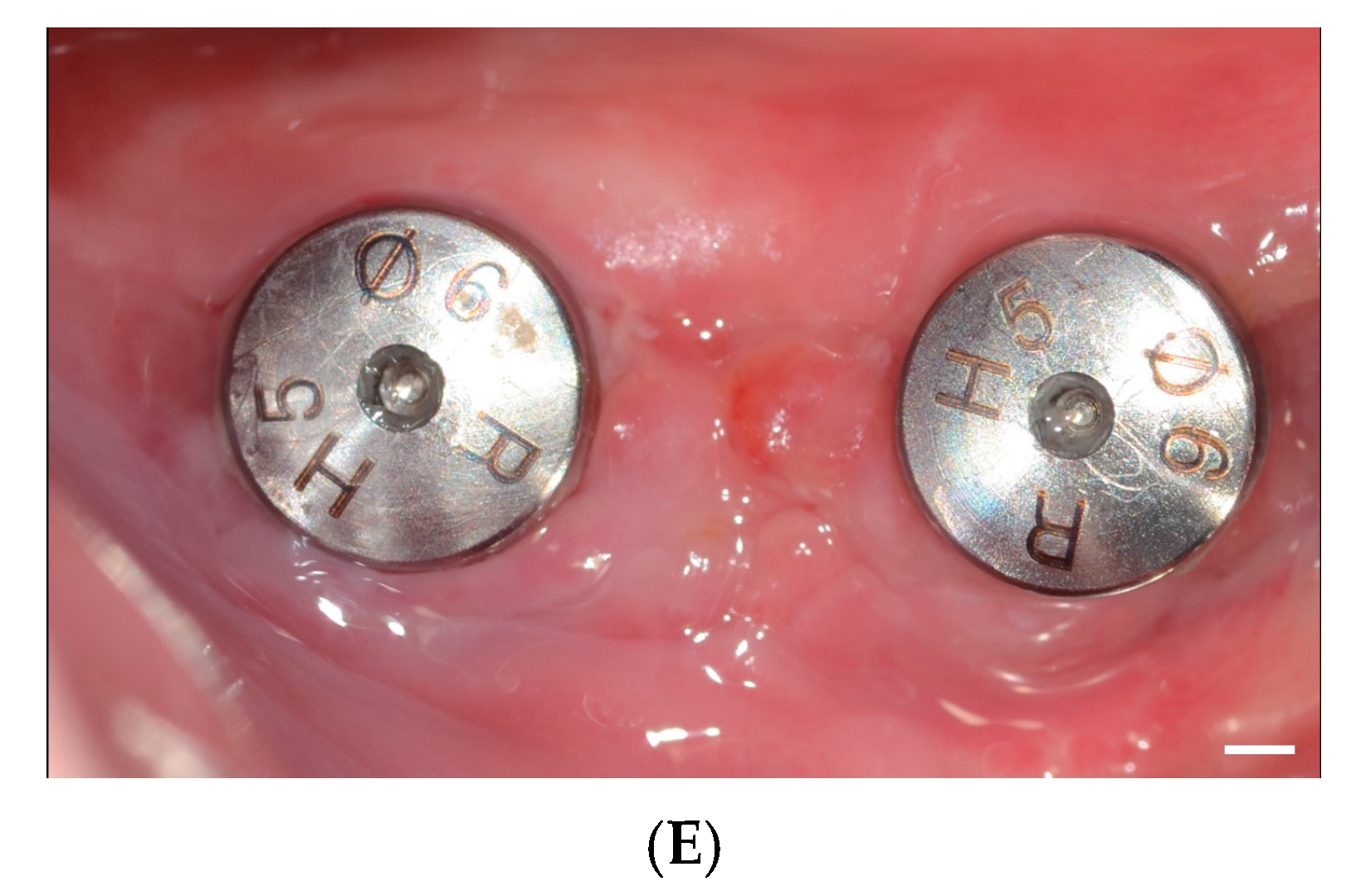 Applsci 15 07934 g001b