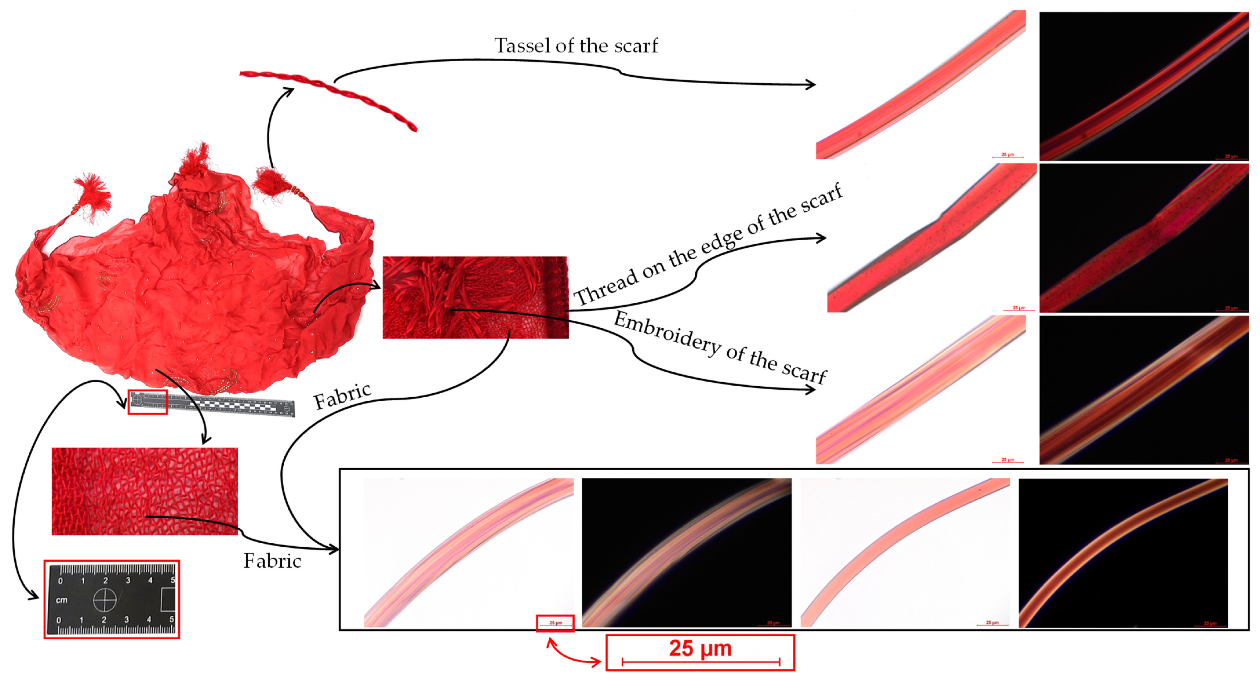 Applsci 15 07945 g002