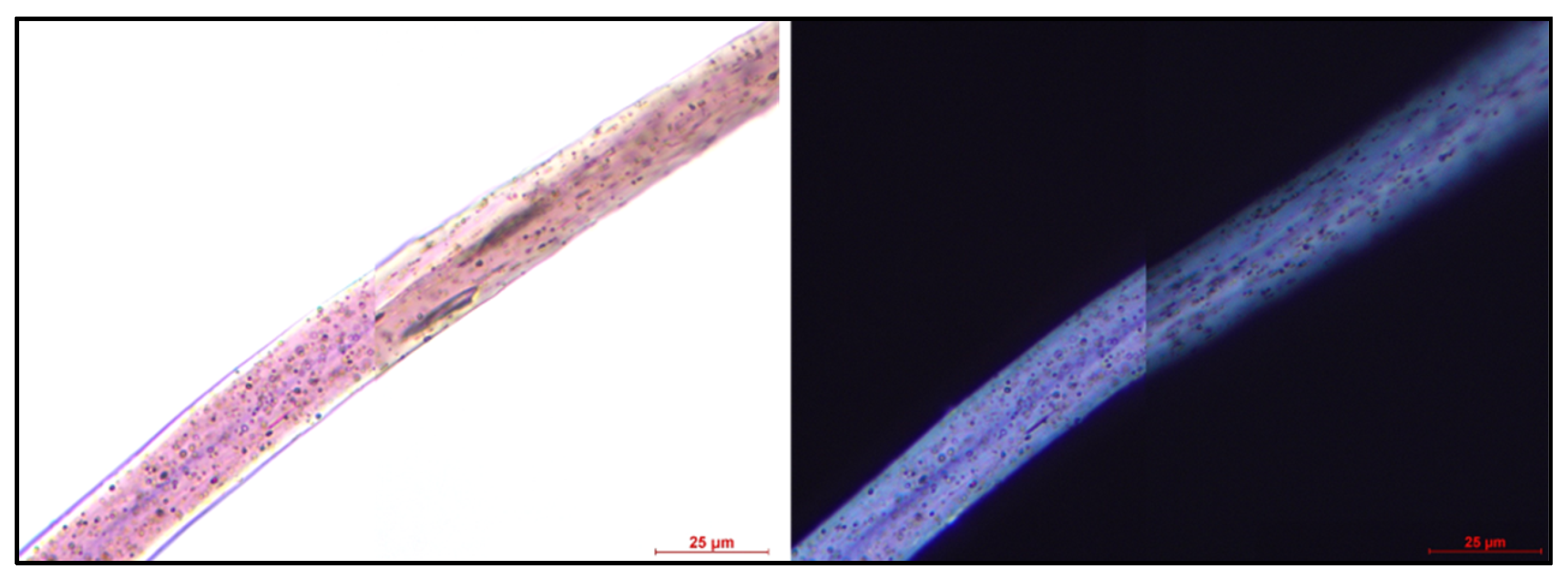 Applsci 15 07945 g006