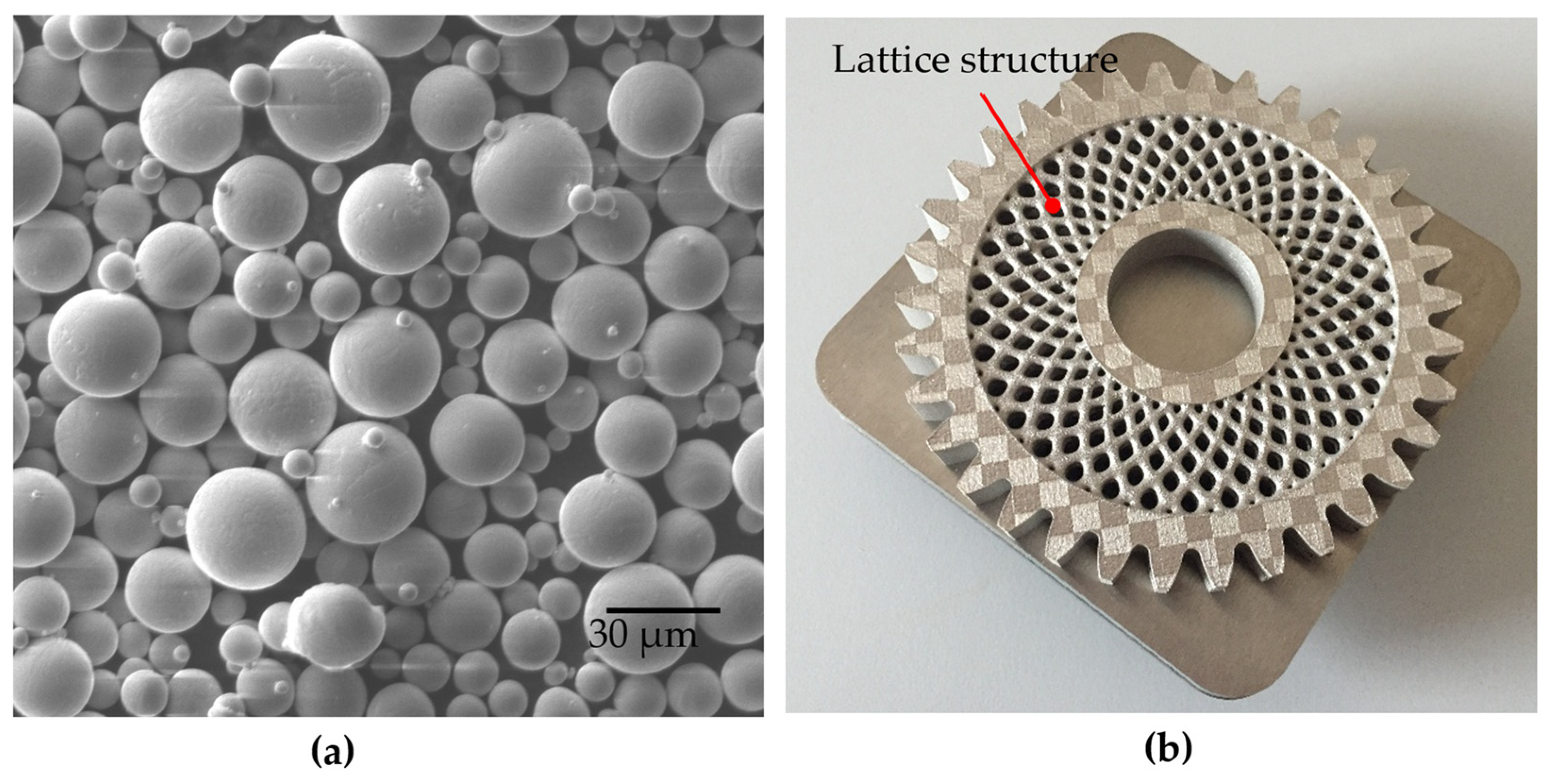 Applsci 15 07949 g004