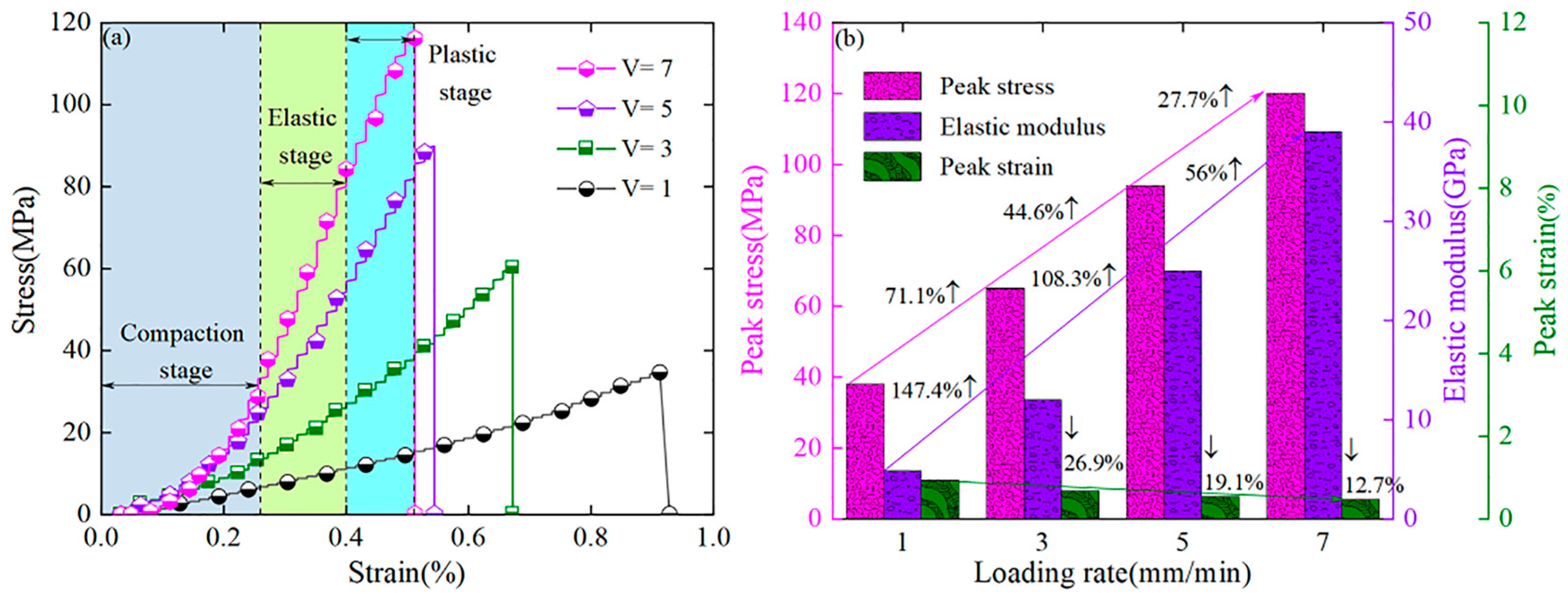 Applsci 15 07954 g001