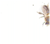 Applsci 15 07969 i032