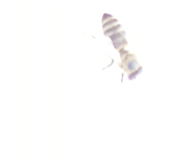 Applsci 15 07969 i035