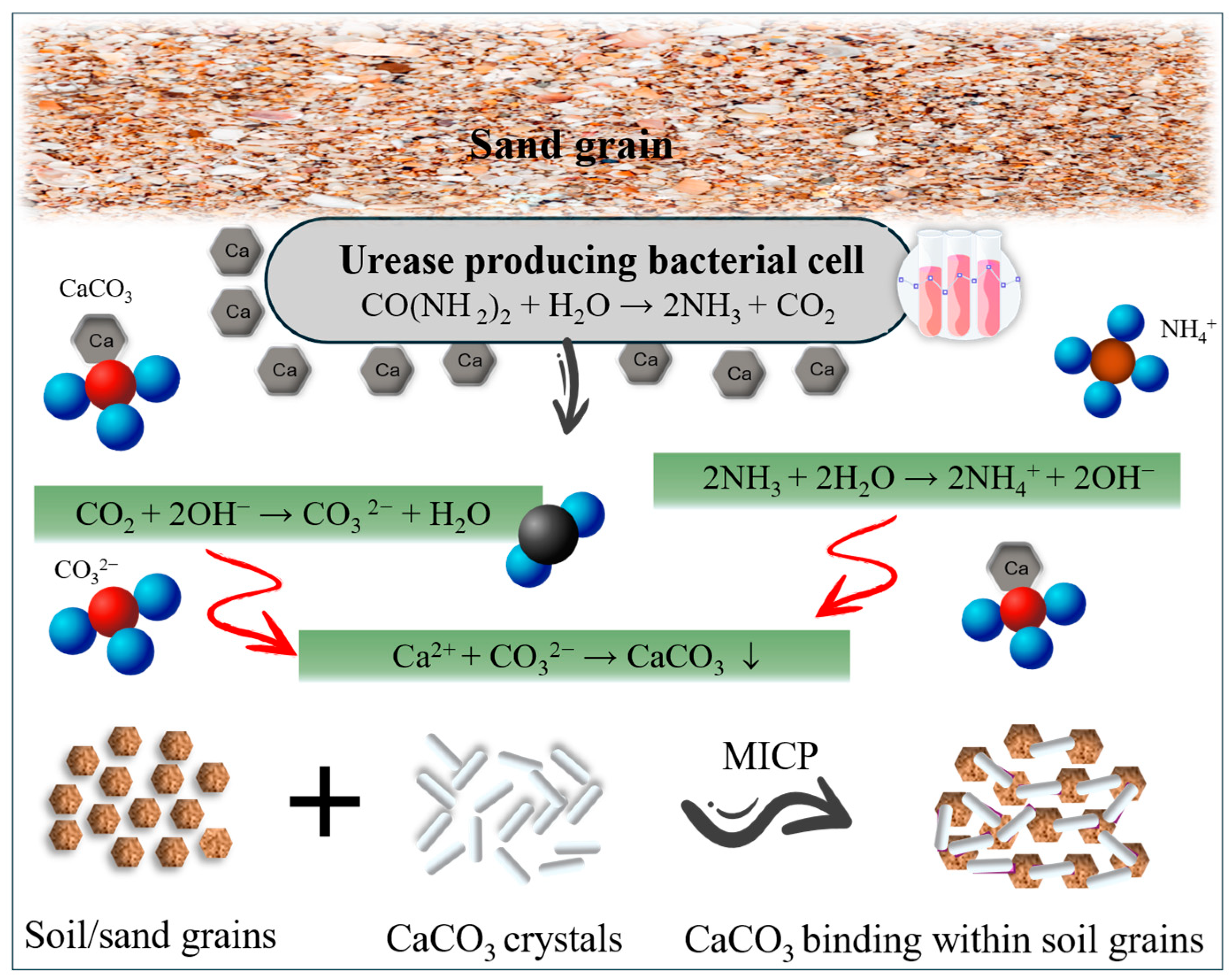 Applsci 15 07972 g001