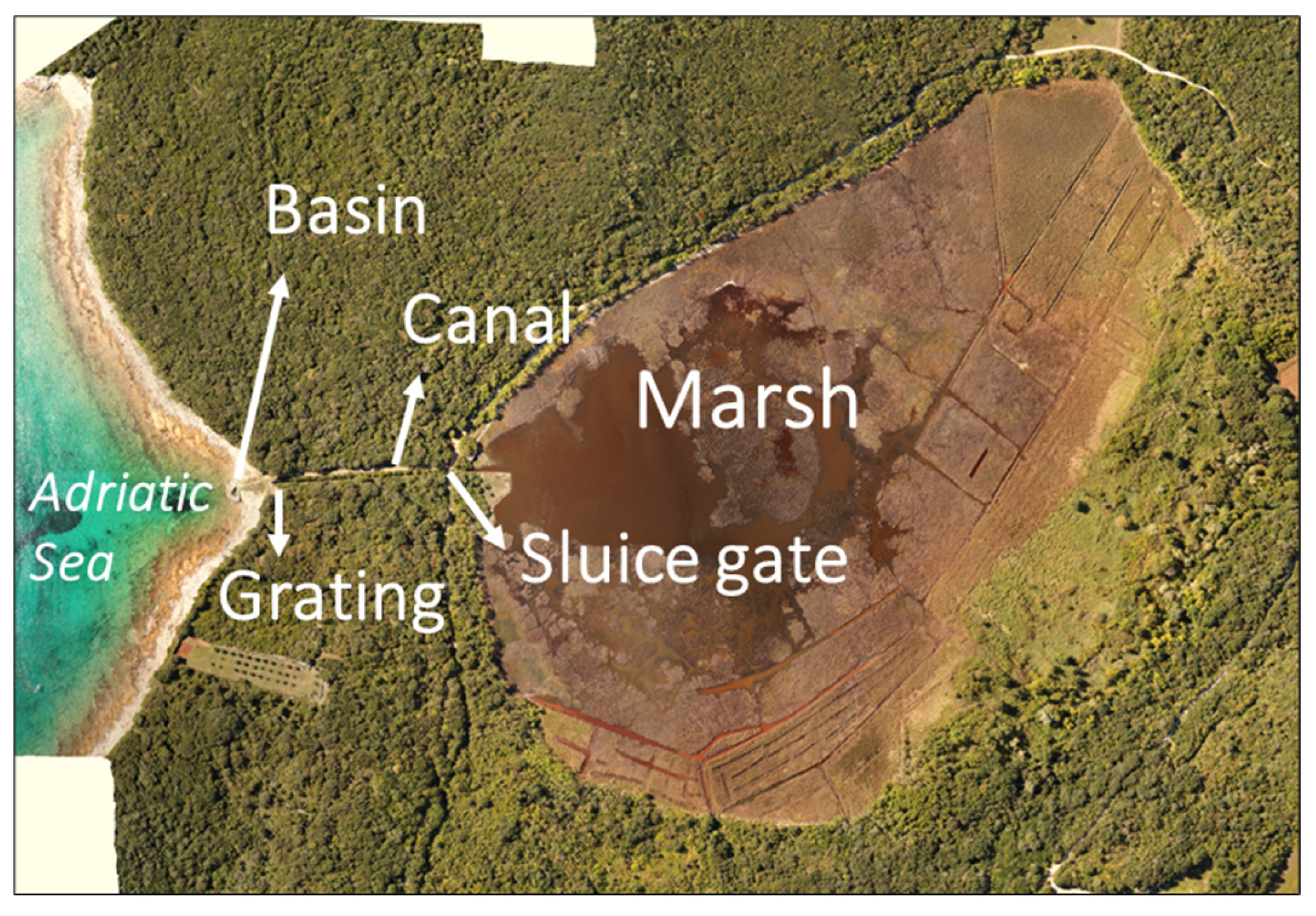 Applsci 15 07990 g003 Applsci 15 07990 g003