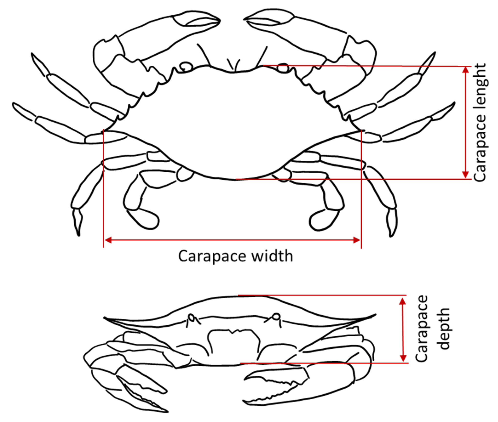 Applsci 15 07990 g005 Applsci 15 07990 g005