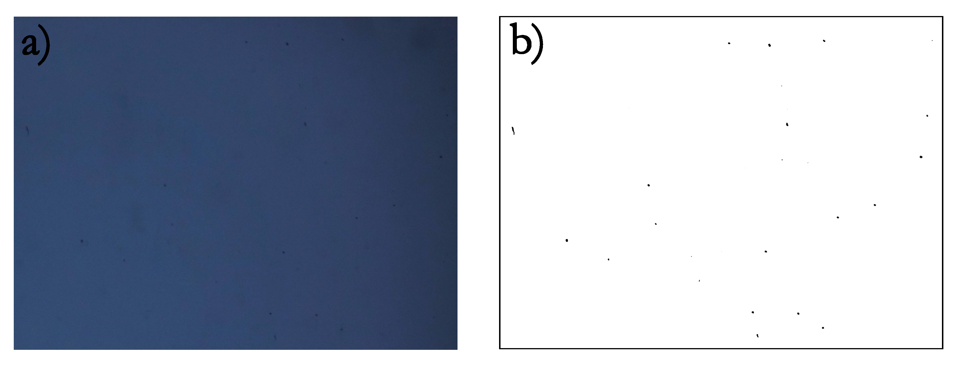 Applsci 15 07992 g004