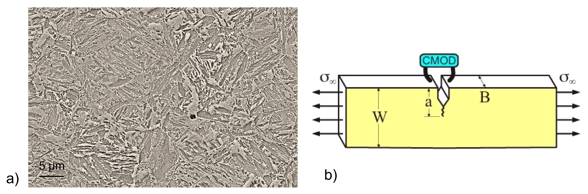 Applsci 15 07998 g001