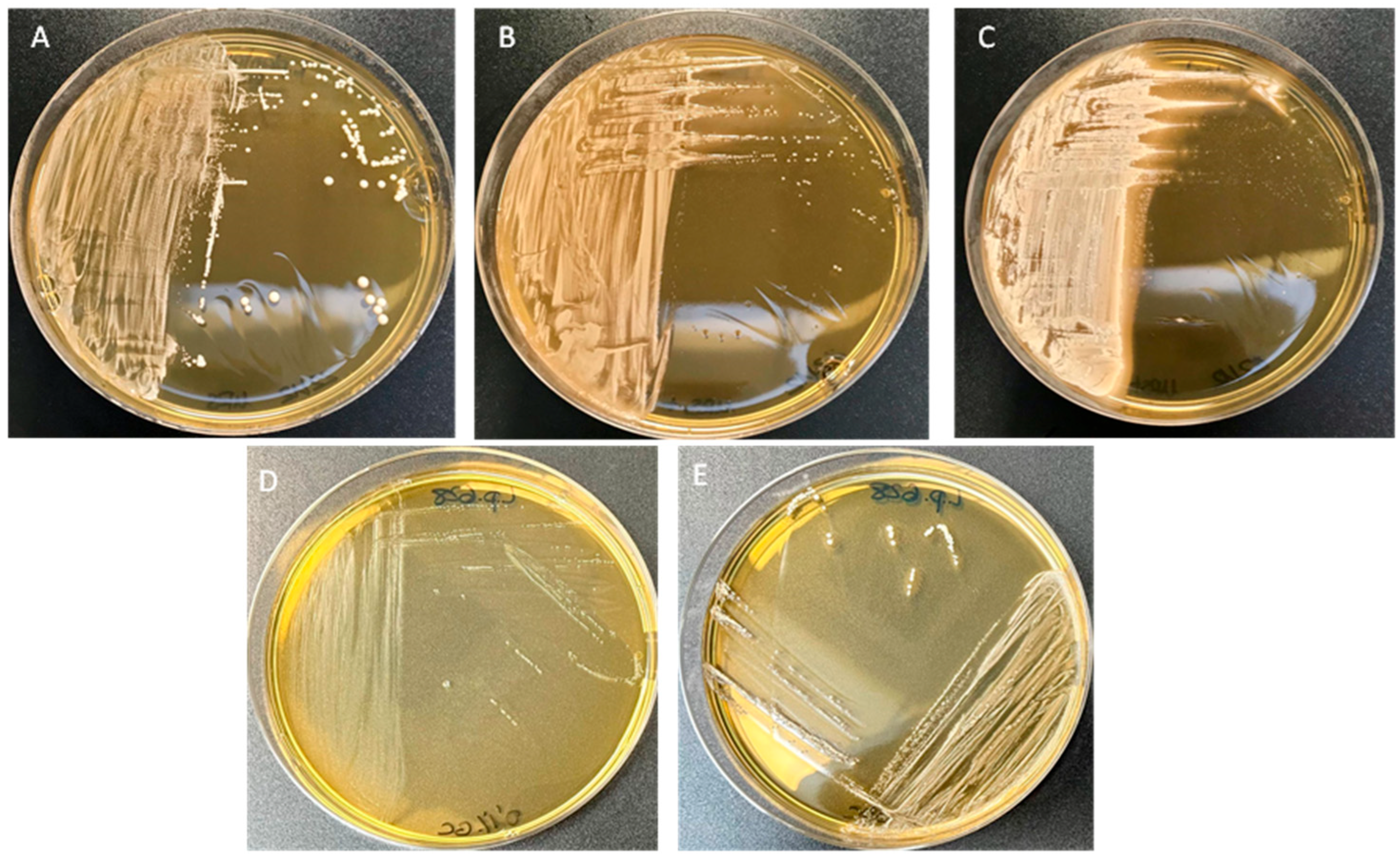 Applsci 15 08007 g003