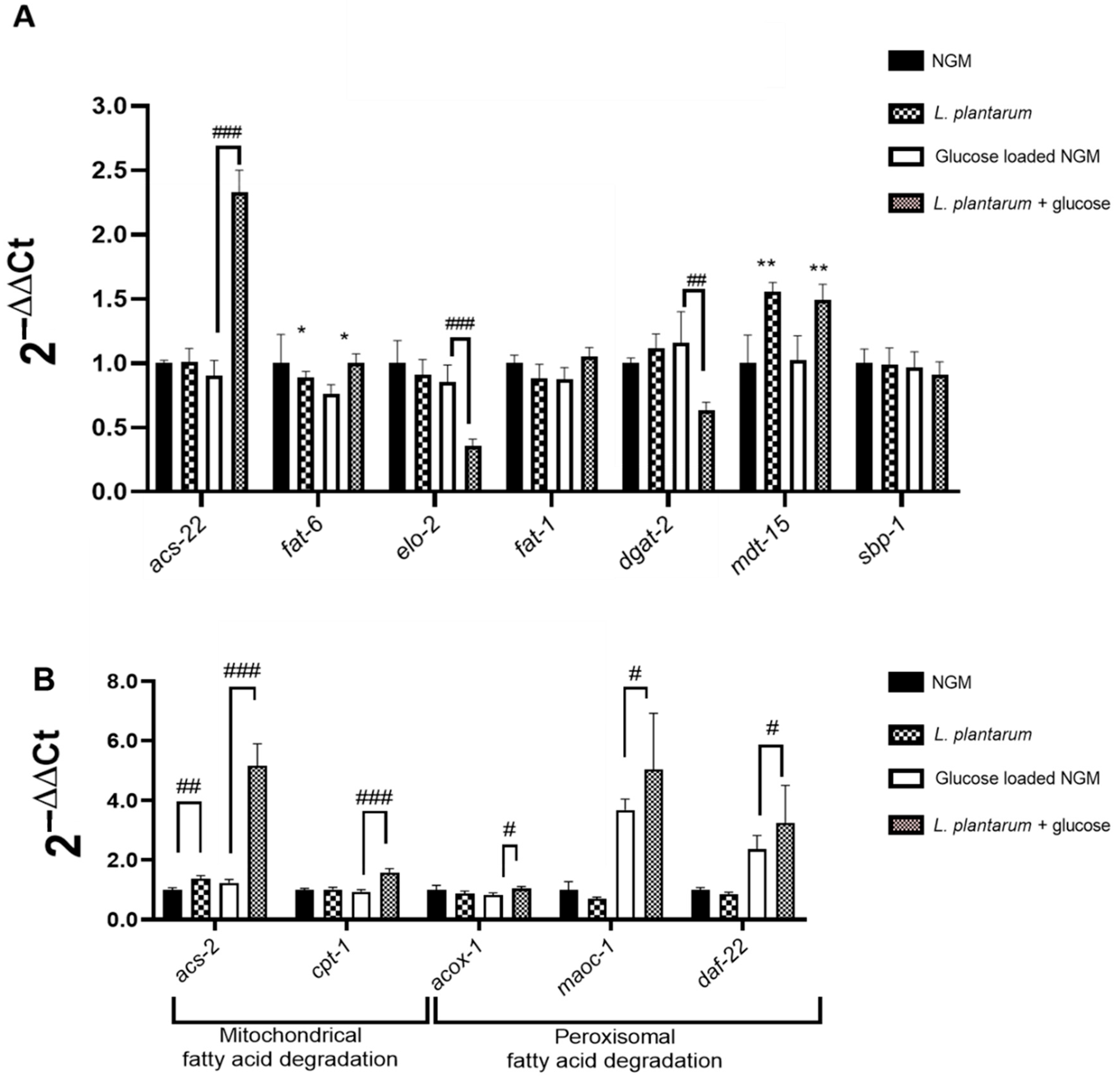 Applsci 15 08007 g008