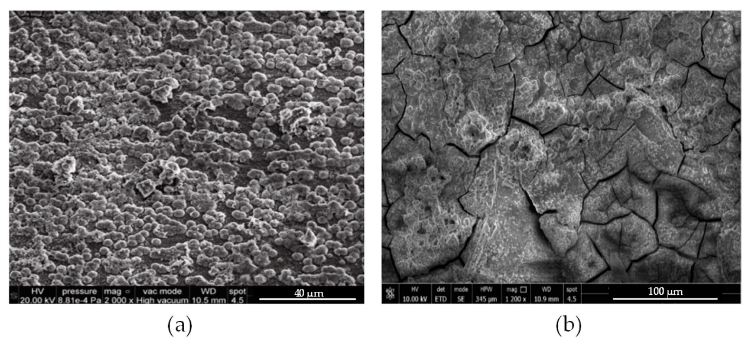 Applsci 15 08009 g003