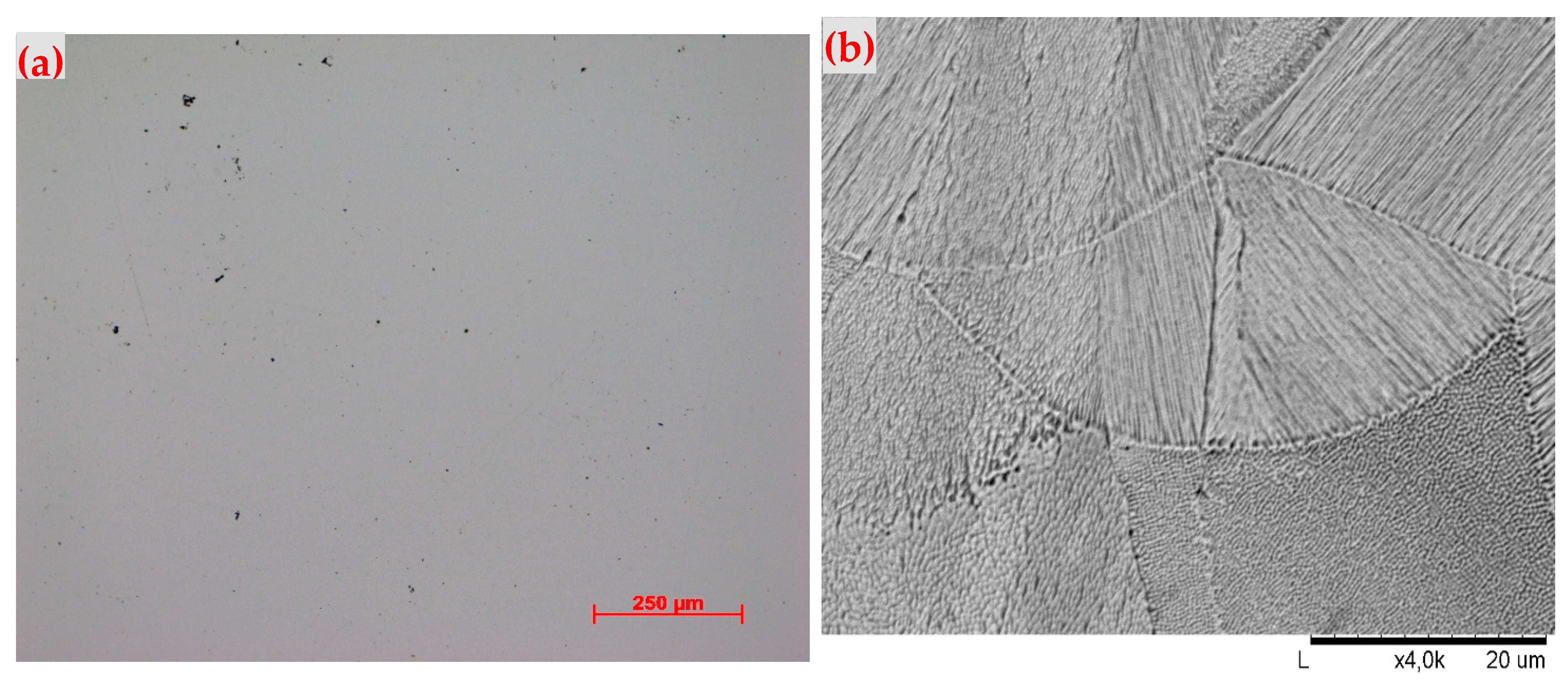 Applsci 15 08011 g004a