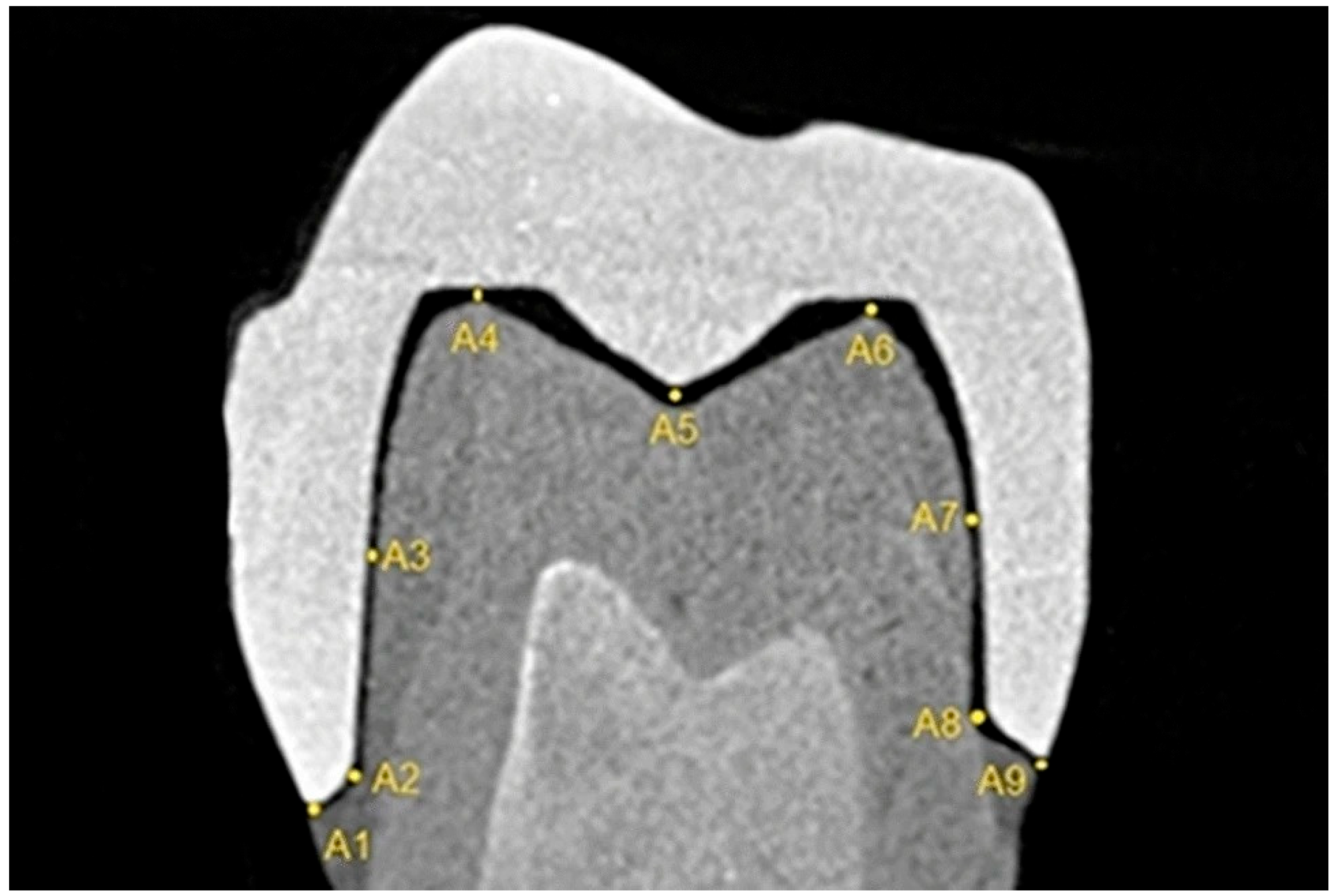 Applsci 15 08017 g001
