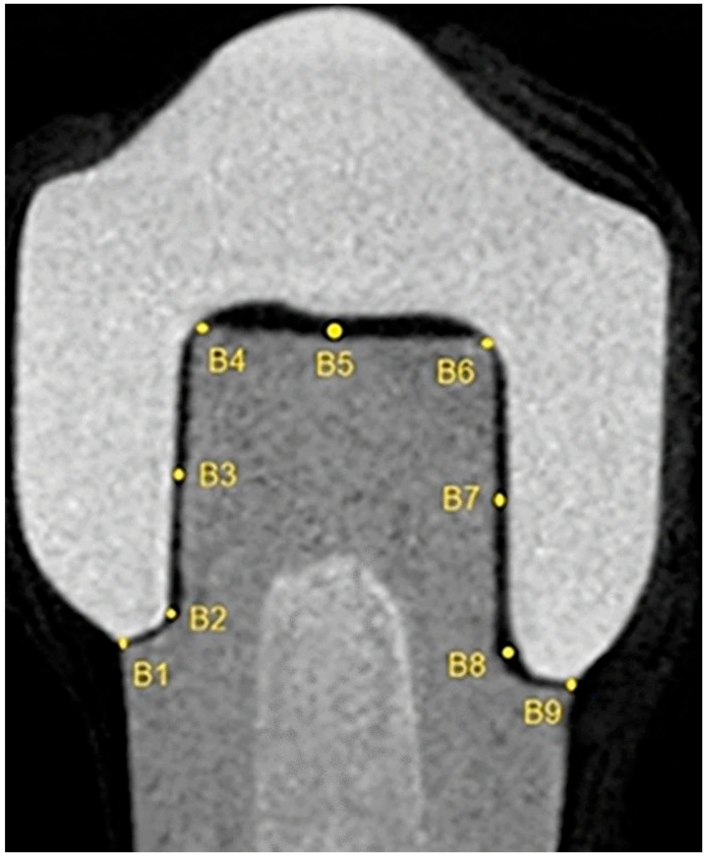 Applsci 15 08017 g002