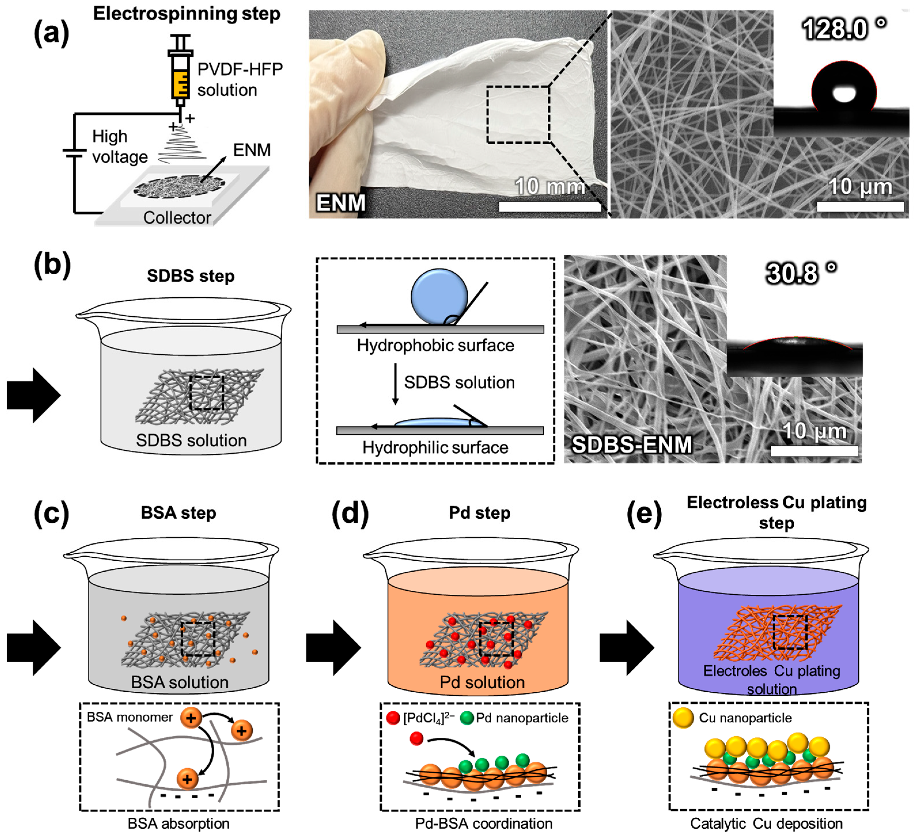 Applsci 15 08023 g001