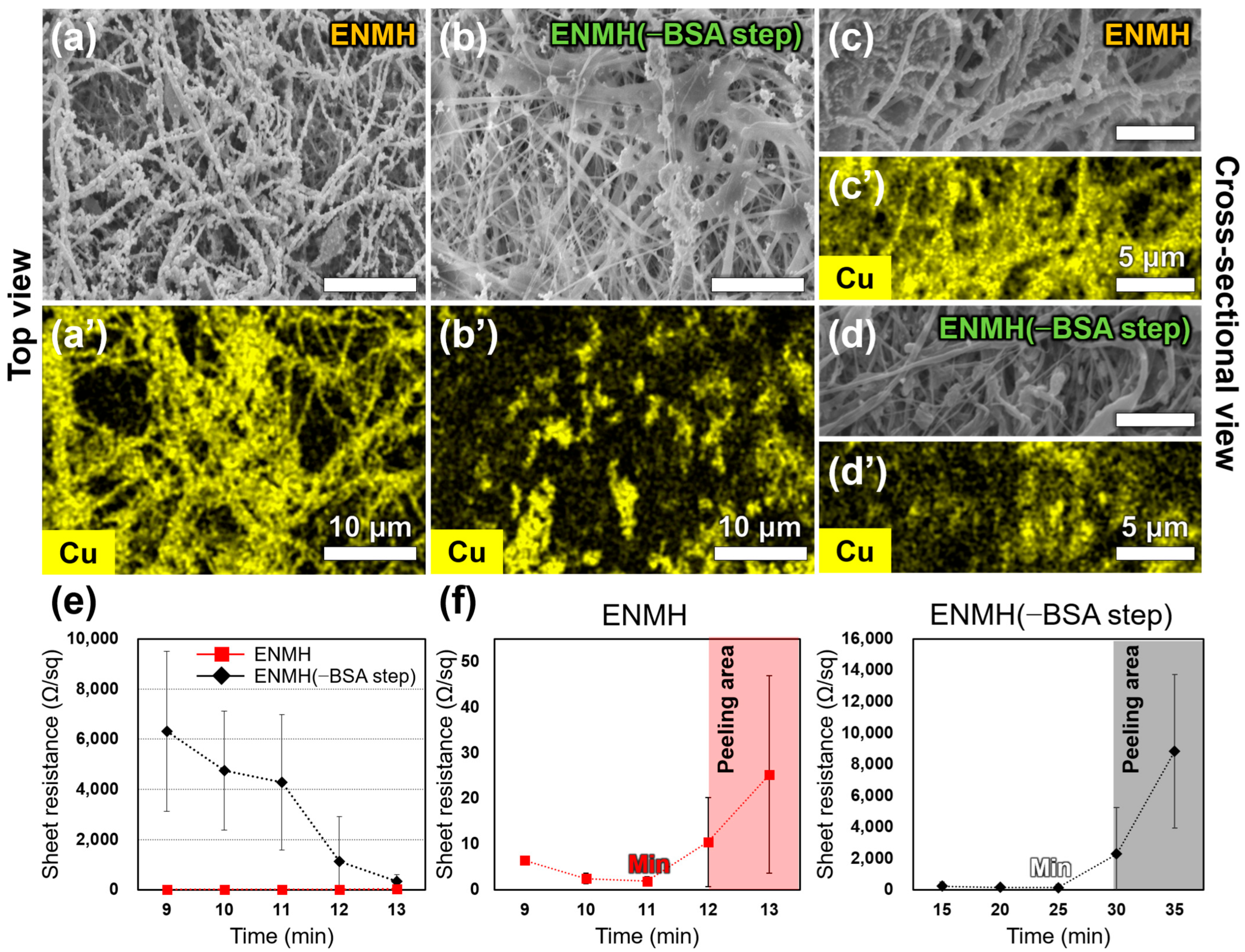 Applsci 15 08023 g002