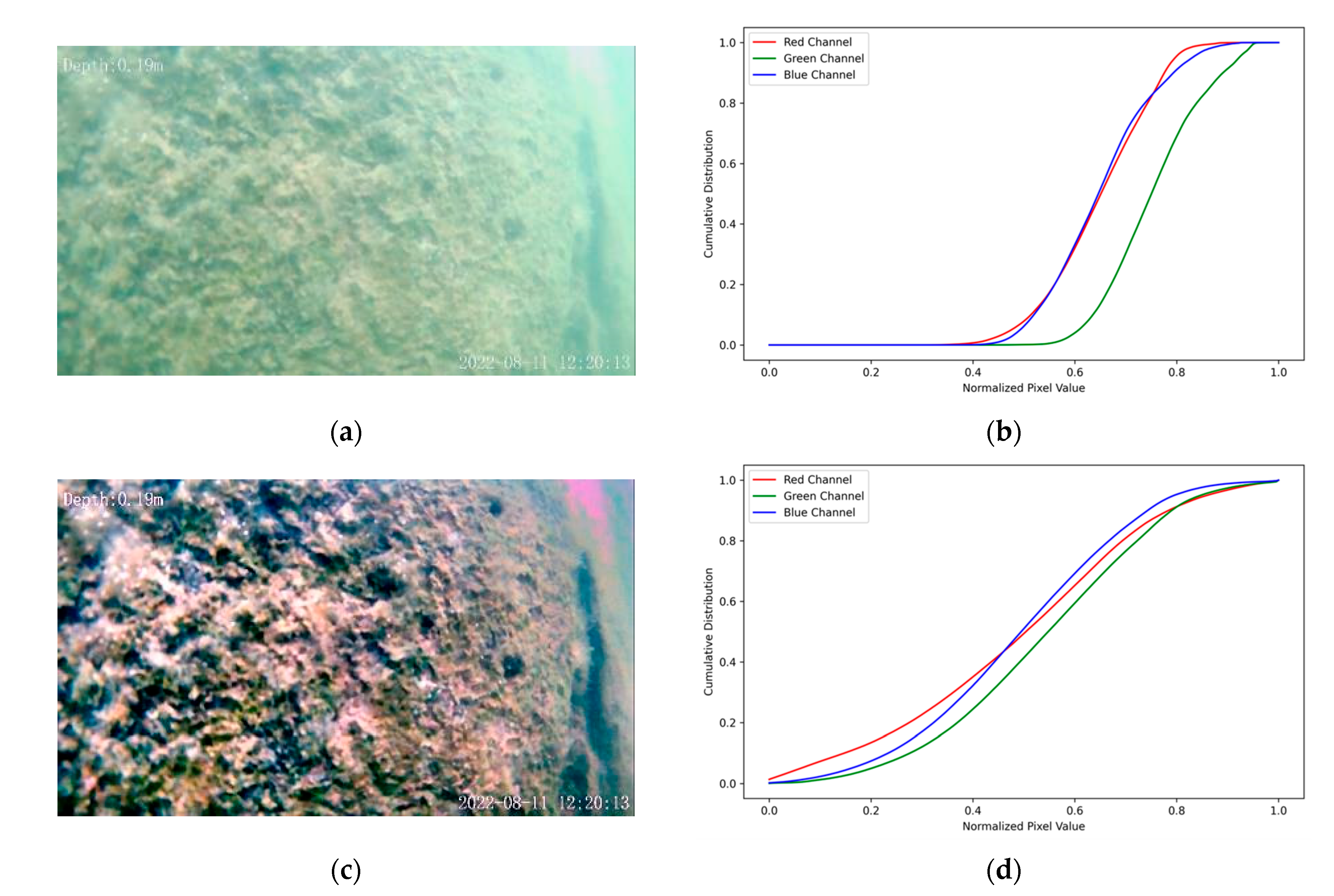 Applsci 15 08037 g002