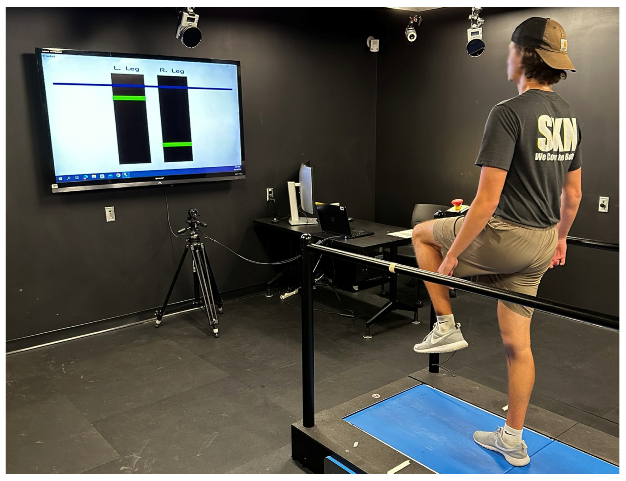 Applsci 15 08045 g001