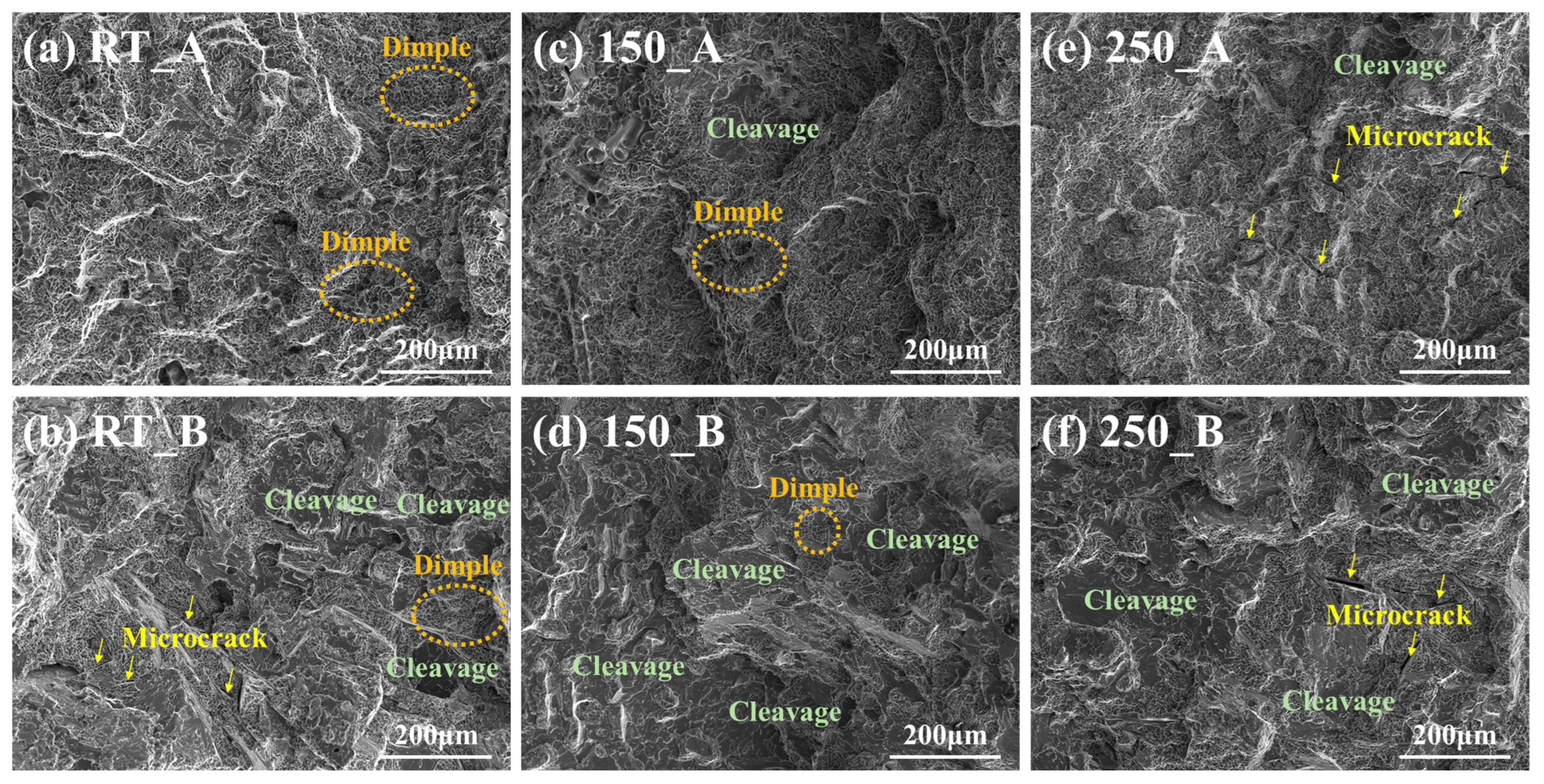Applsci 15 08047 g005