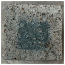 Applsci 15 08055 i001