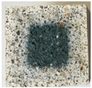 Applsci 15 08055 i002