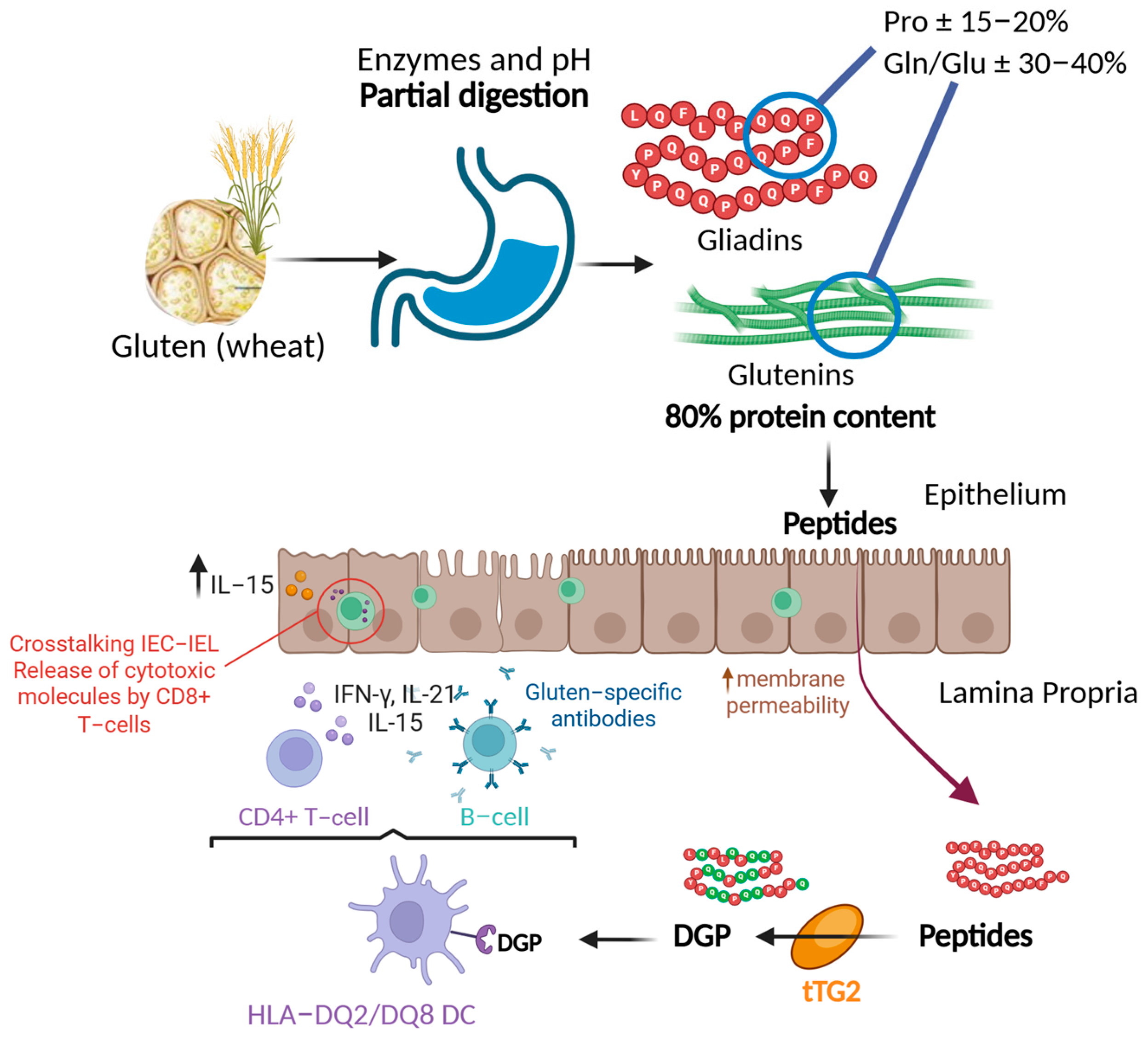 Applsci 15 08111 g001