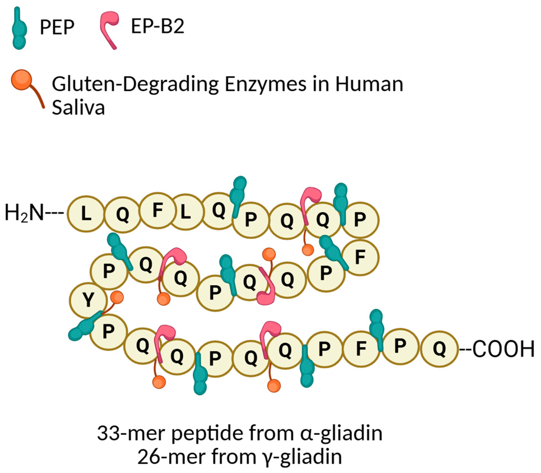Applsci 15 08111 g002