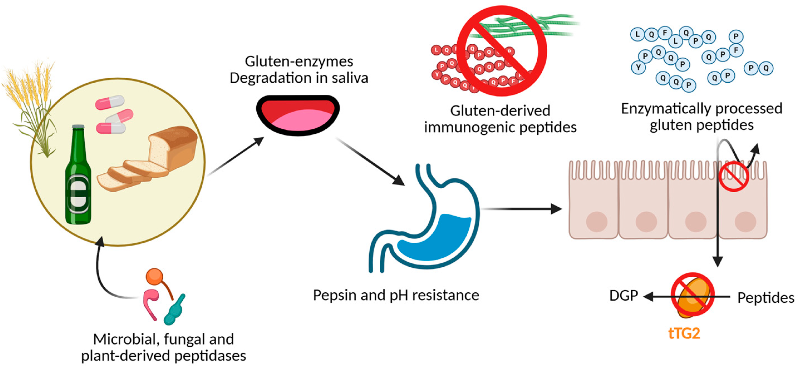 Applsci 15 08111 g003