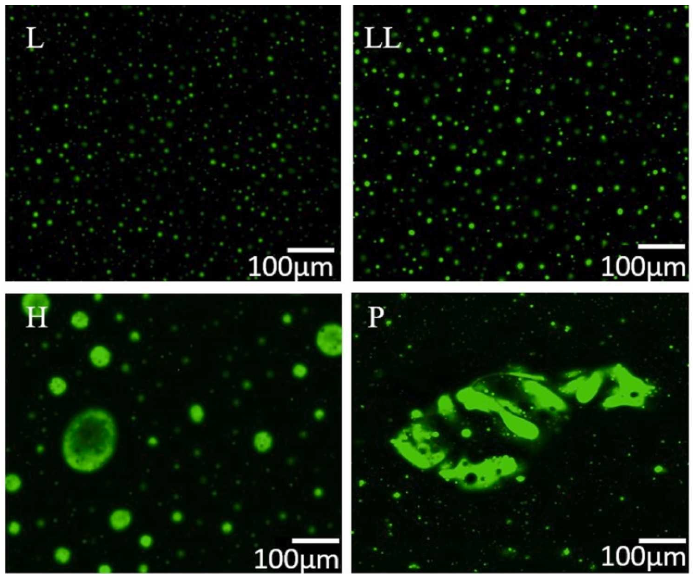 Applsci 15 08112 g002