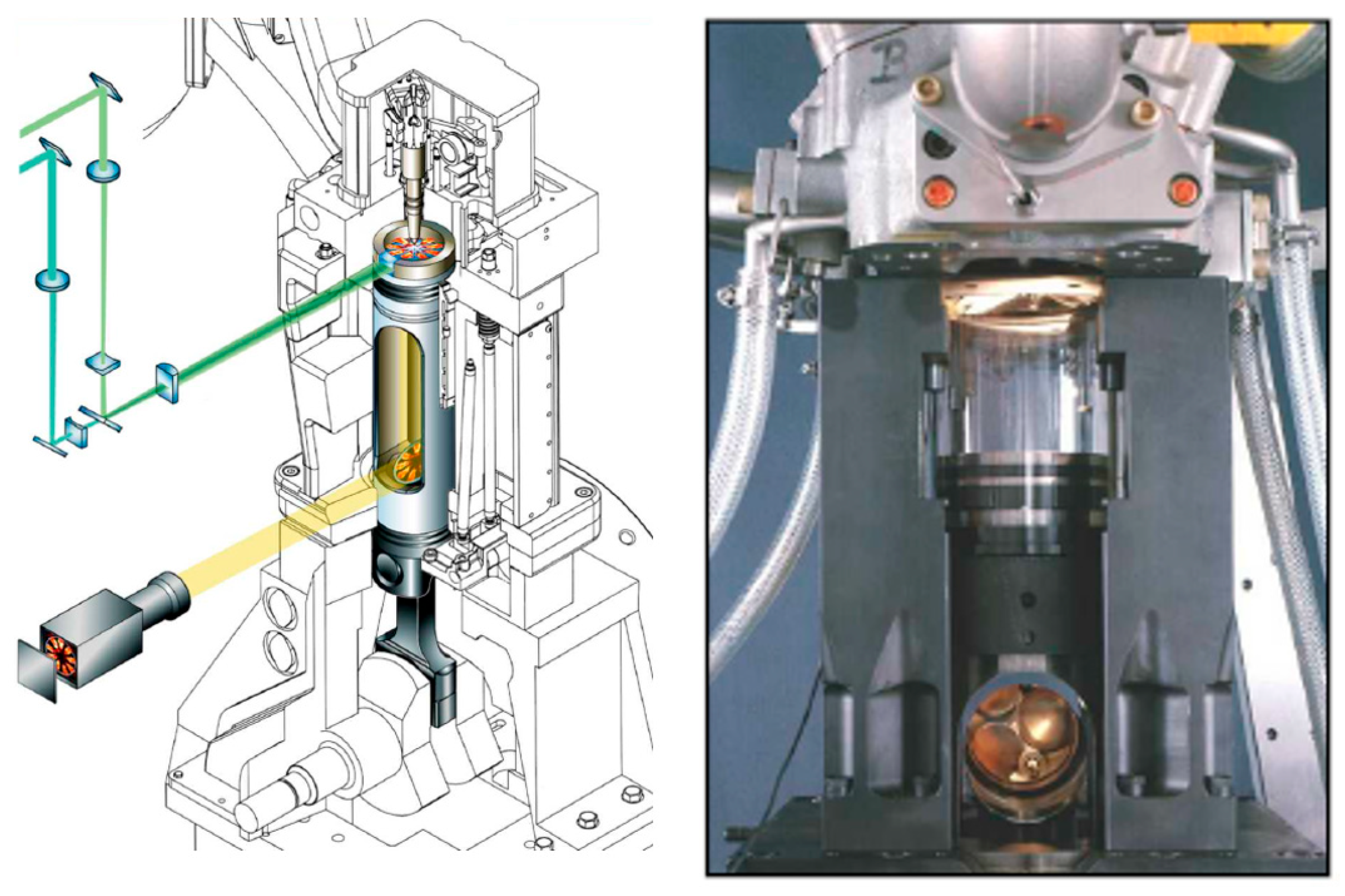Applsci 15 08131 g001