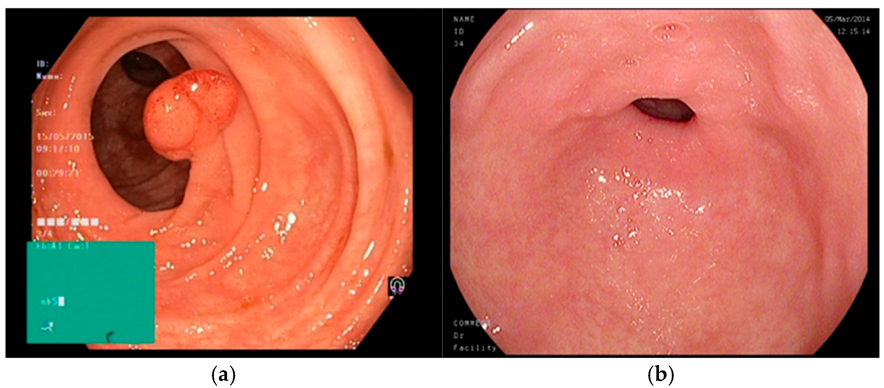 Applsci 15 08144 g001