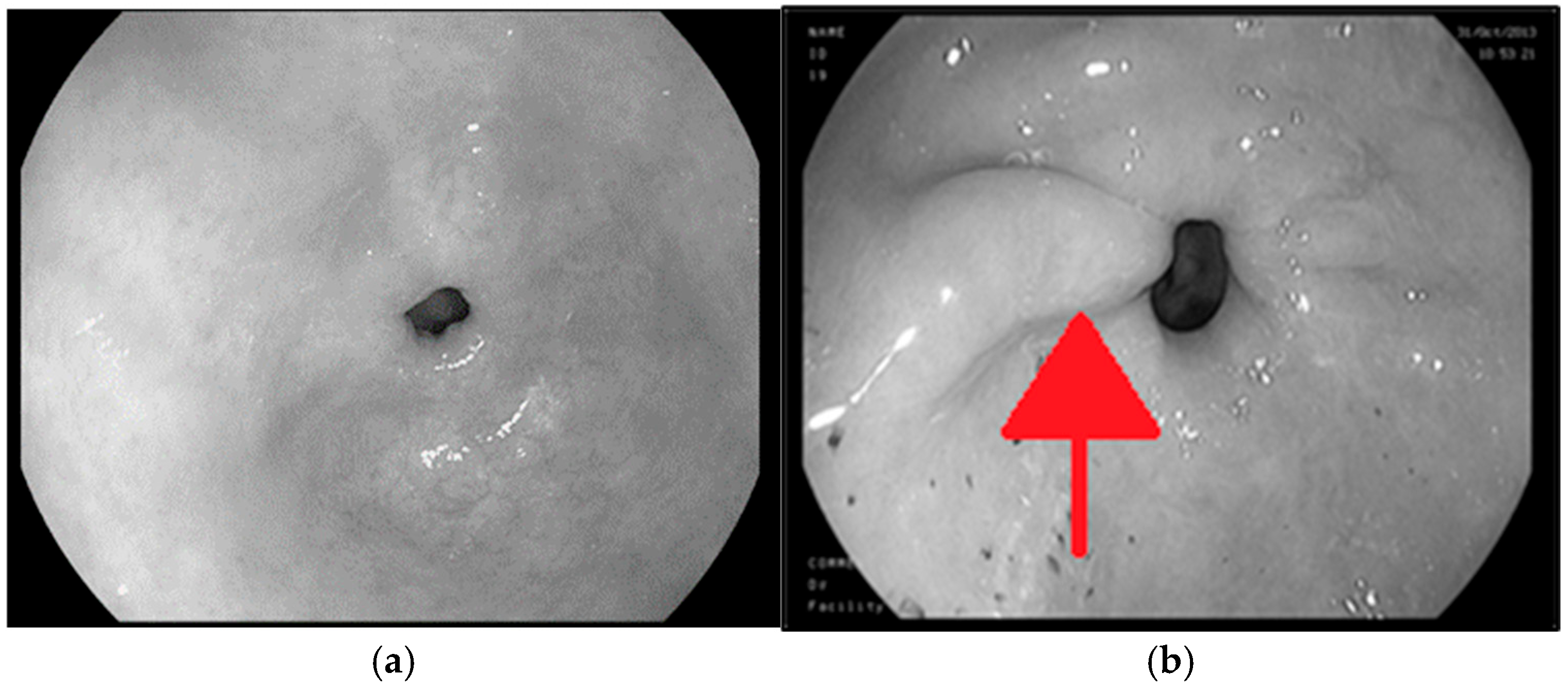 Applsci 15 08144 g002