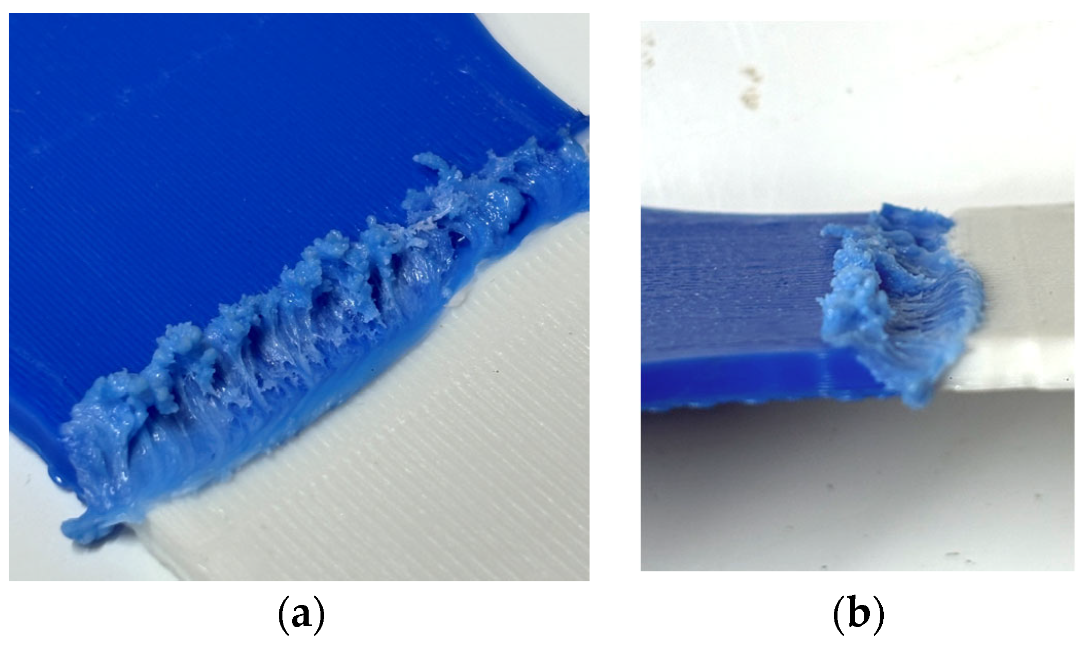 Applsci 15 08155 g010