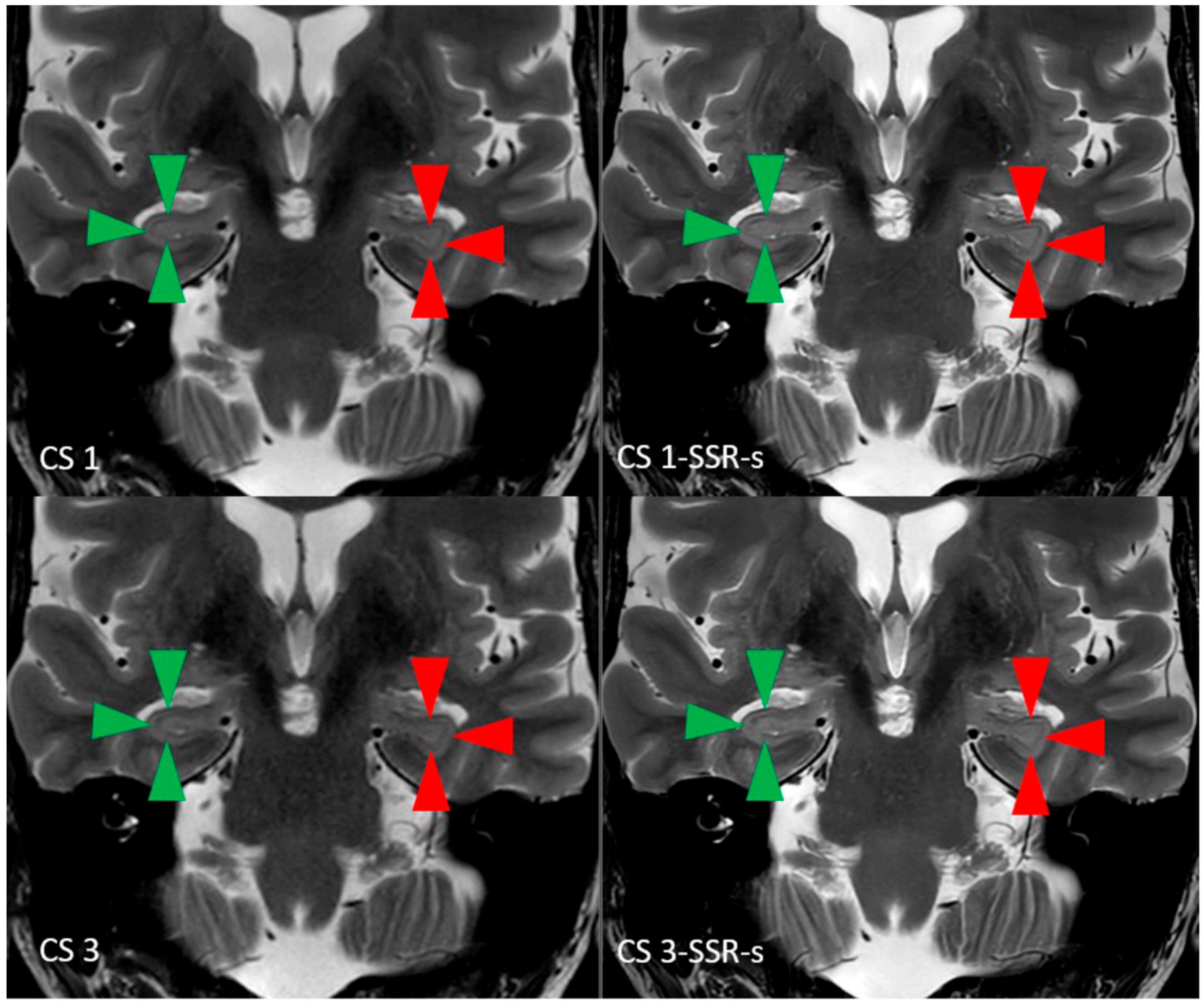 Applsci 15 08202 g001