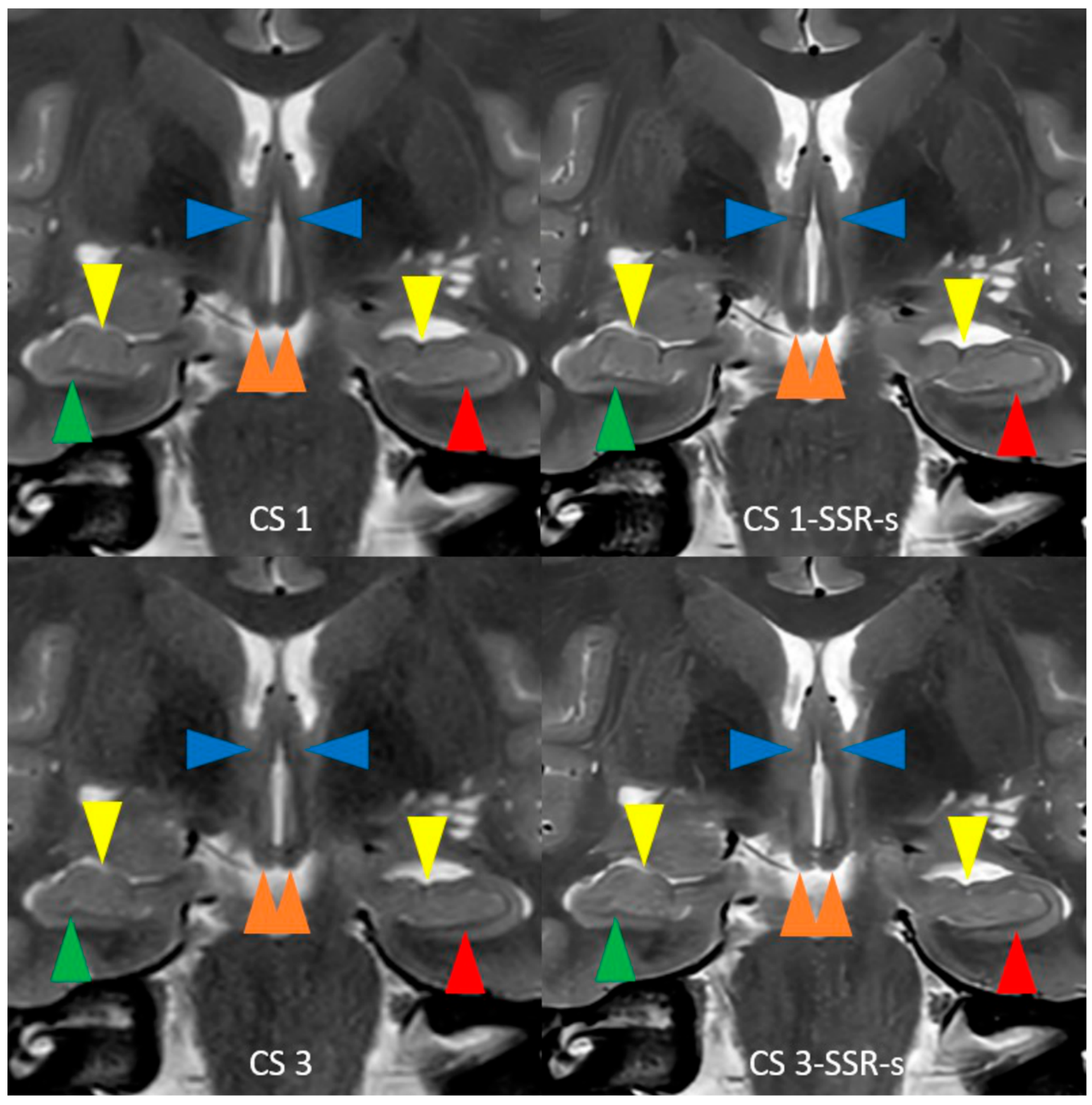 Applsci 15 08202 g002